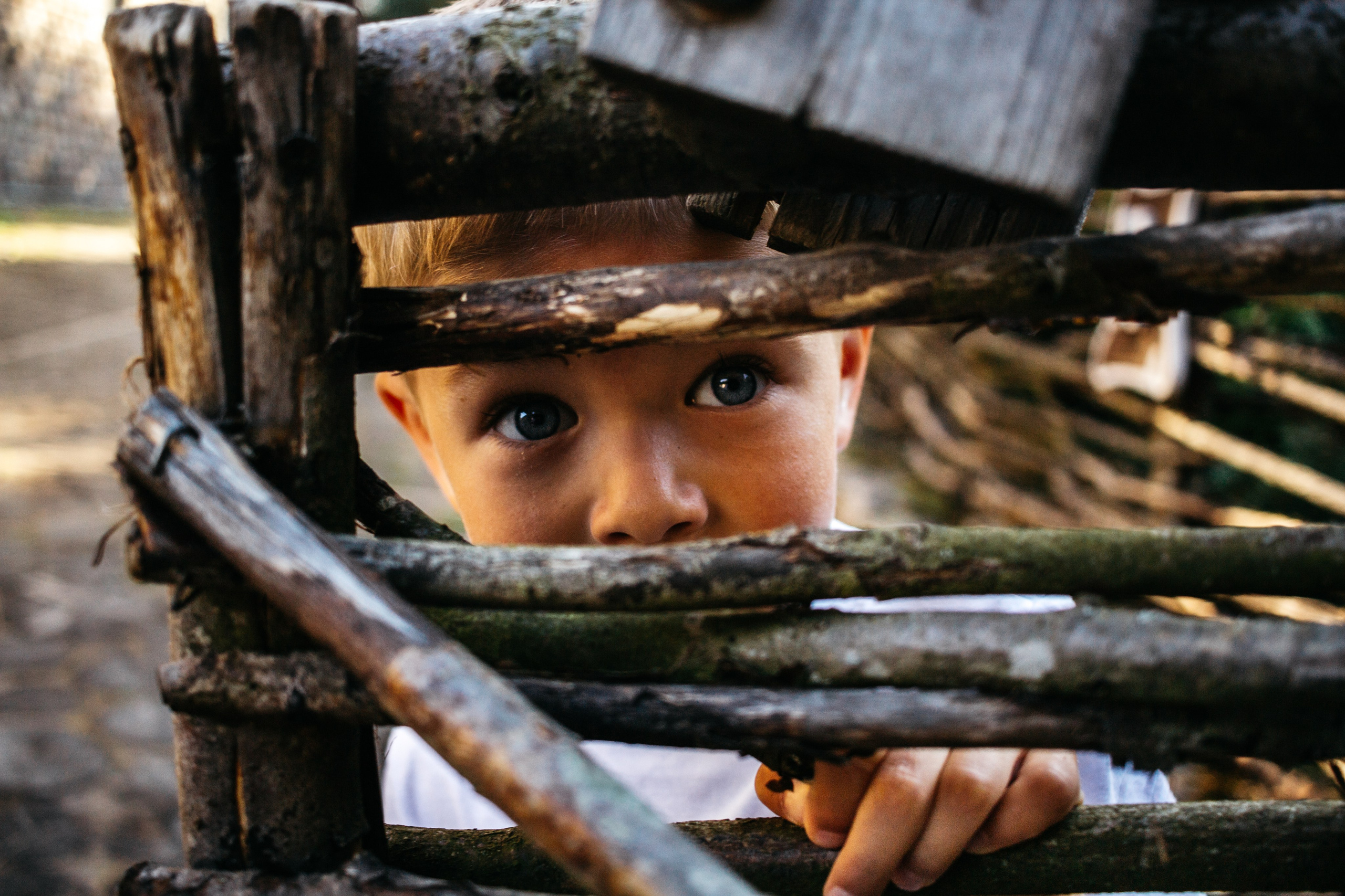 Семейная история. Фотограф Lifestyle в Санкт-Петербурге, г. Сестрорецк