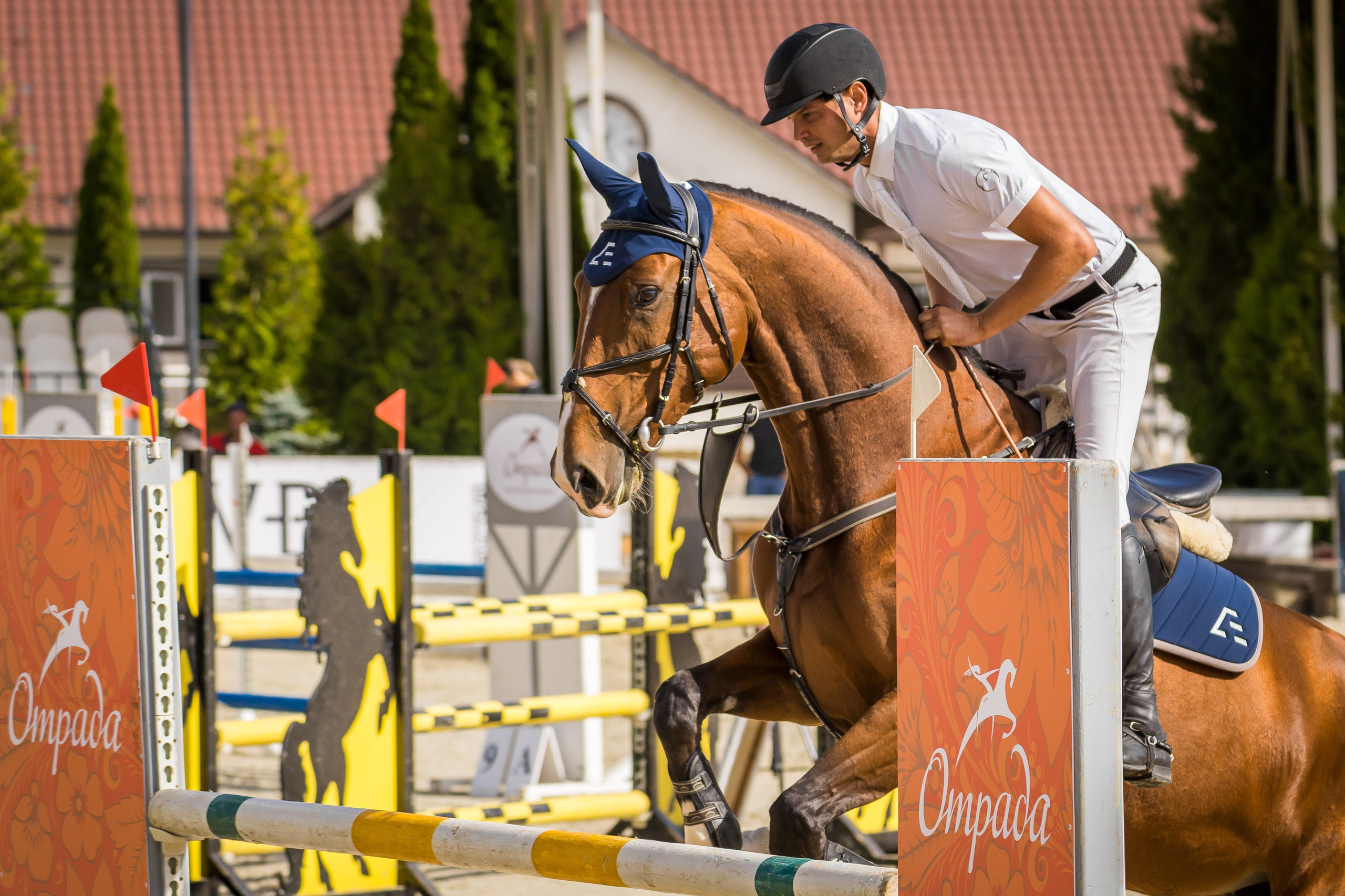 Конный спорт. Photomantis