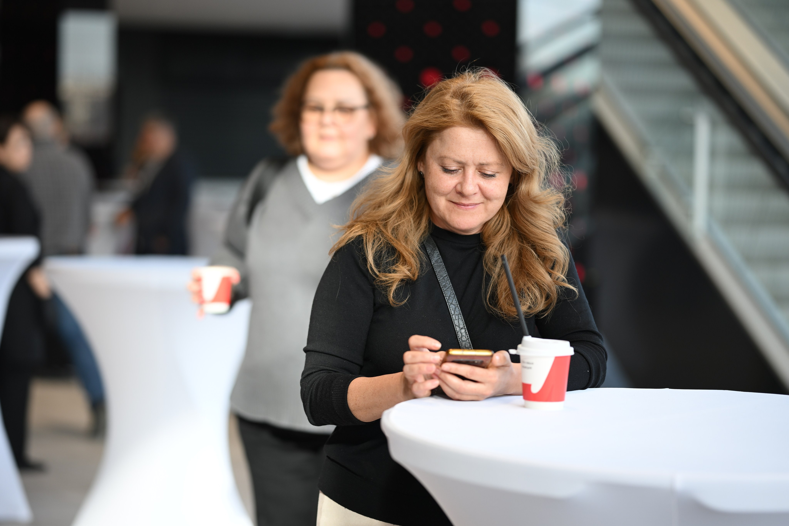 Me conf | Live Arena. Портфолио