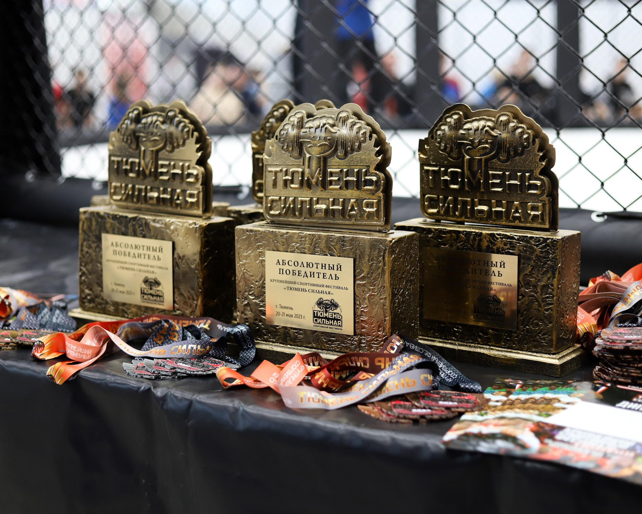 ОТКРЫТЫЙ ТУРНИР ПО ММА «ТЮМЕНЬ СИЛЬНАЯ». Больше не греет