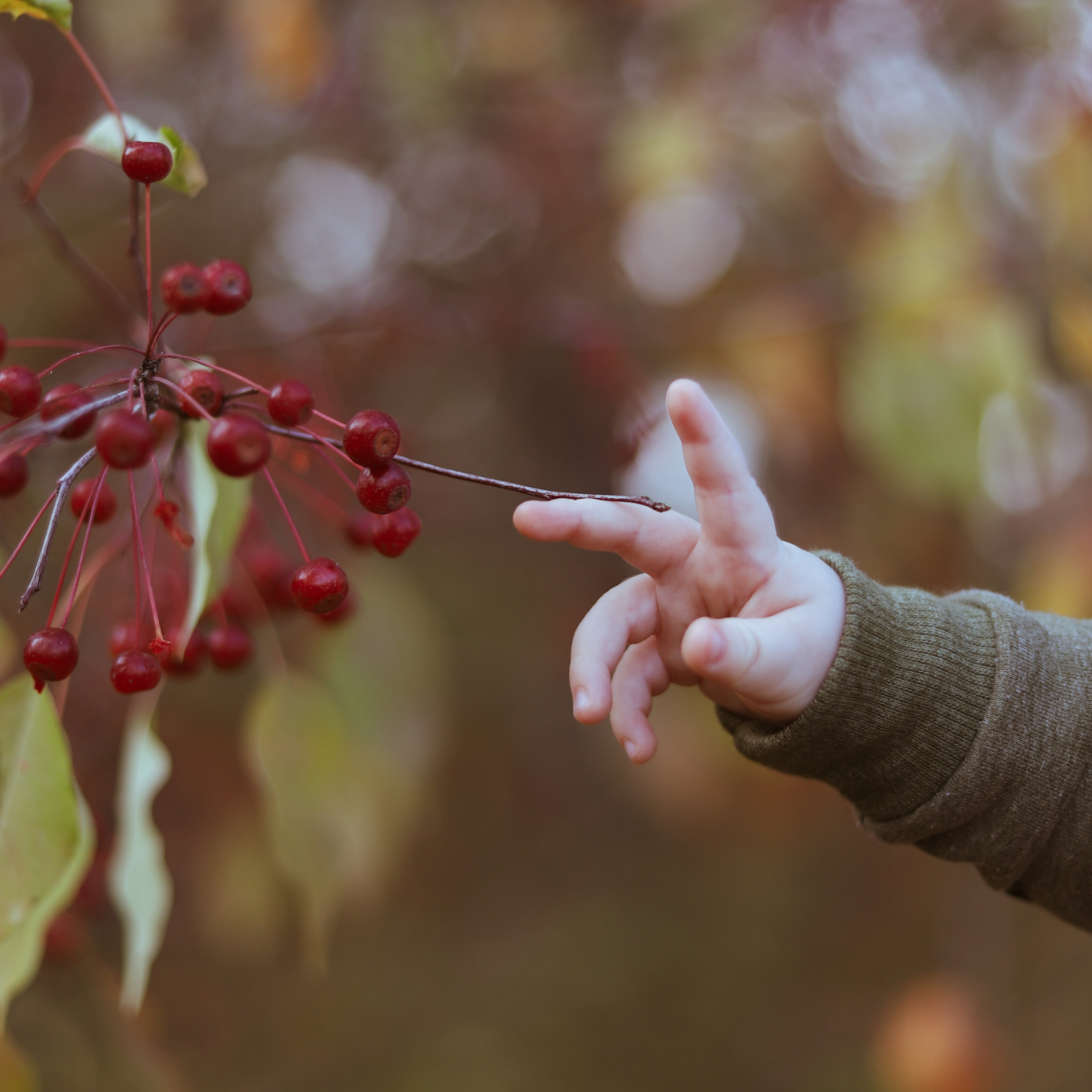 Боярских. Больше не греет