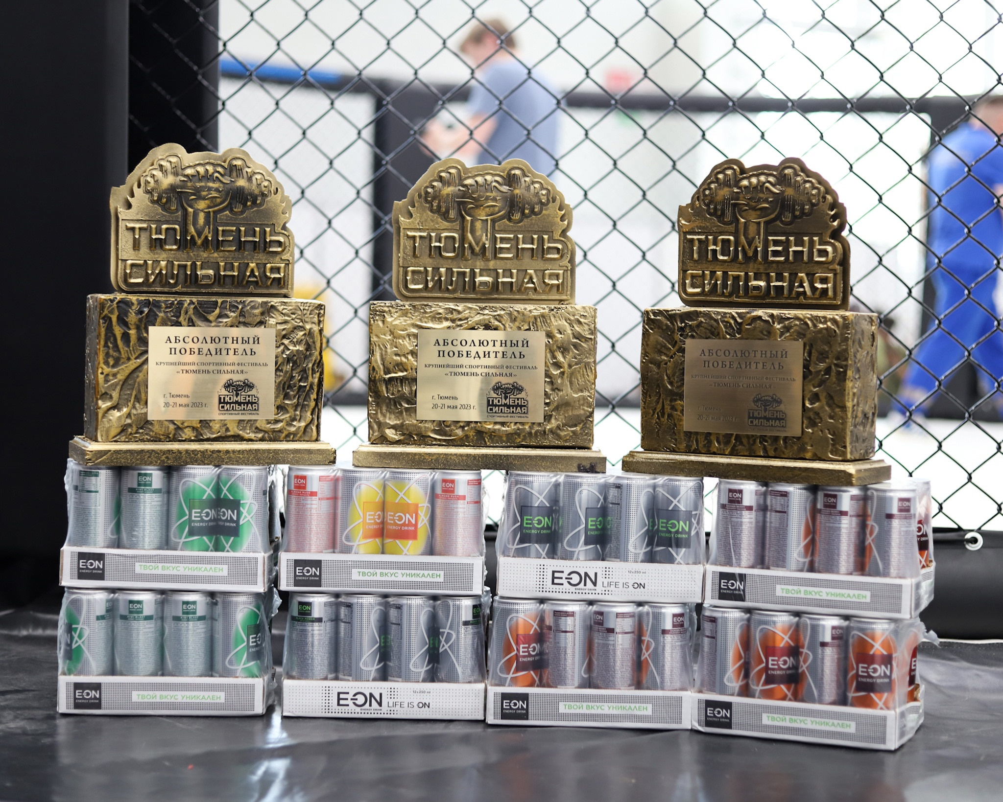 ОТКРЫТЫЙ ТУРНИР ПО ММА «ТЮМЕНЬ СИЛЬНАЯ». Больше не греет