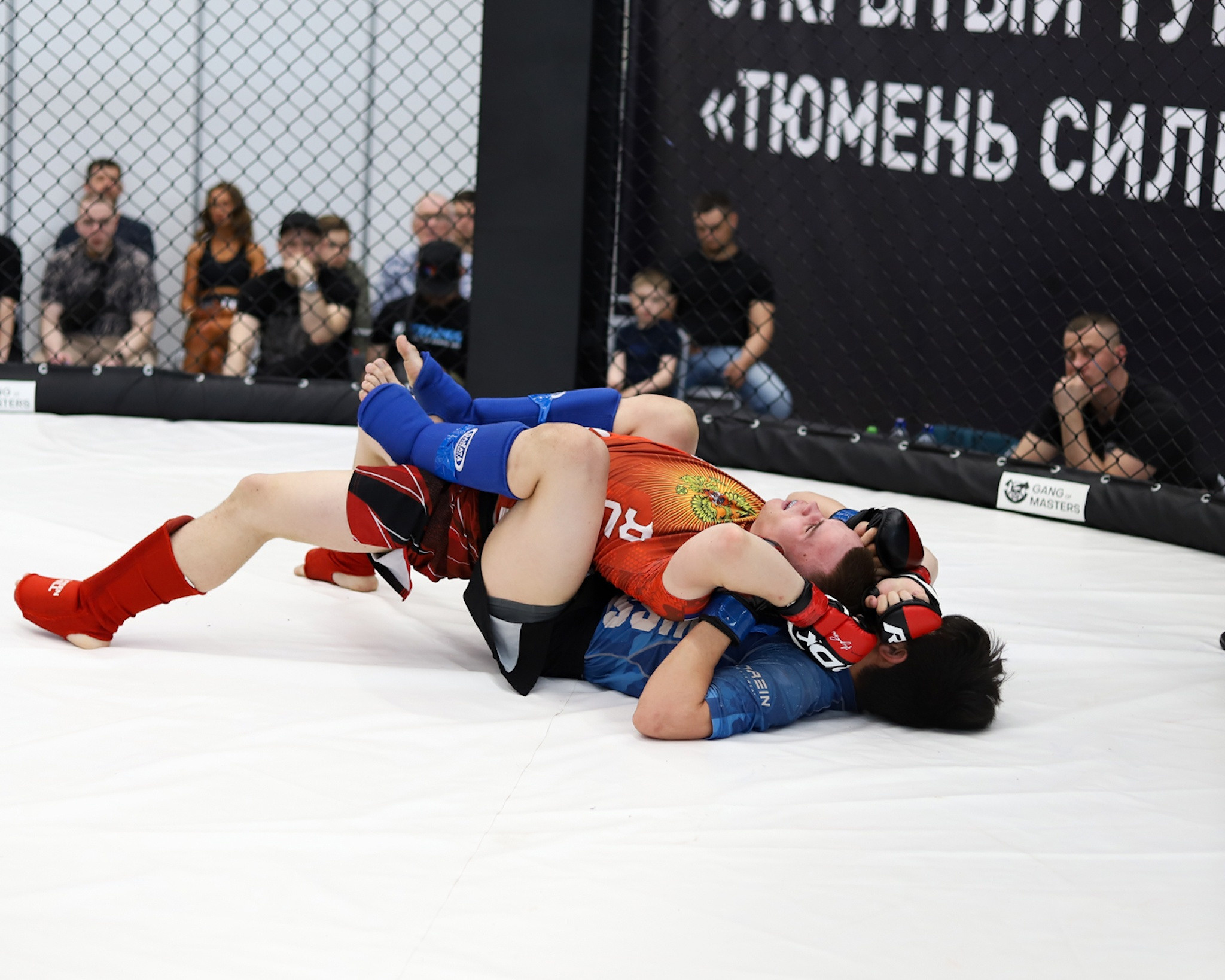 ОТКРЫТЫЙ ТУРНИР ПО ММА «ТЮМЕНЬ СИЛЬНАЯ». Больше не греет