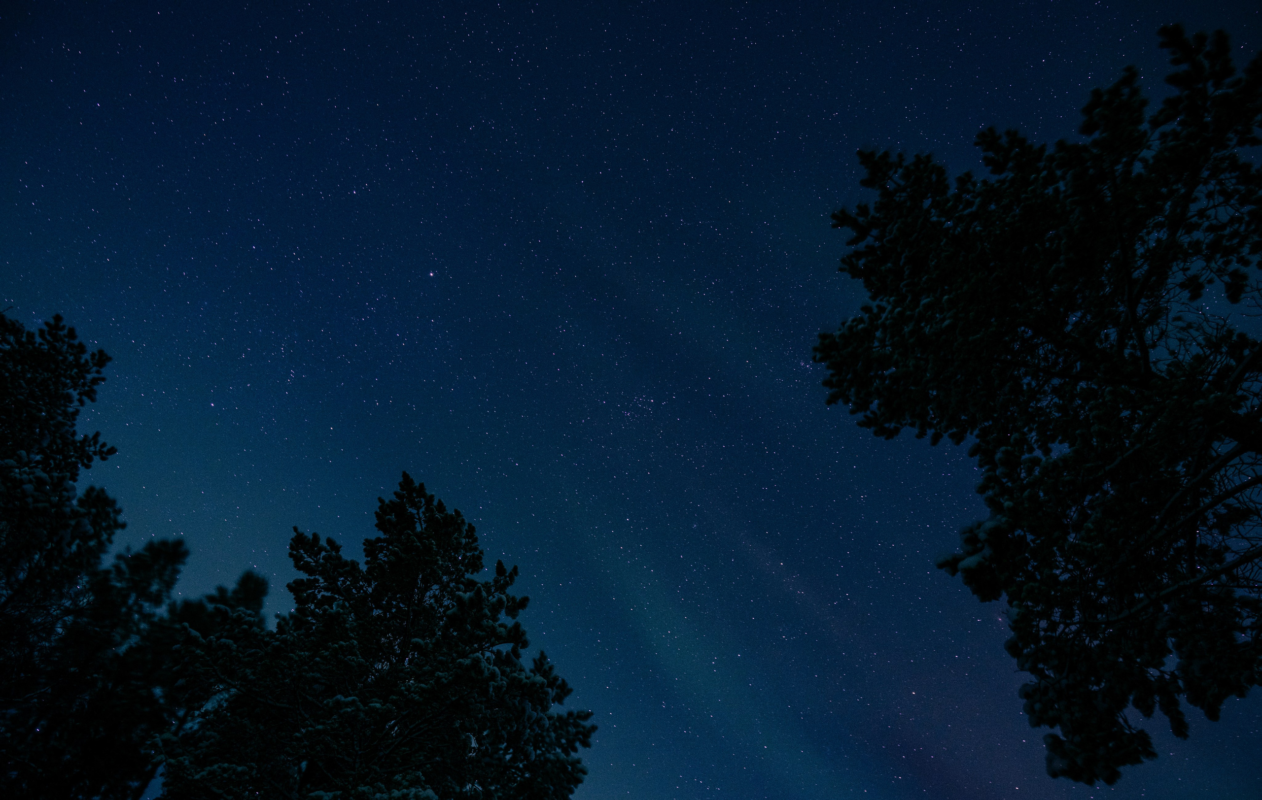 КАРЕЛИЯ / ЗИМА. Создание контента | Фото | Видеосъемка | Александр Ярков