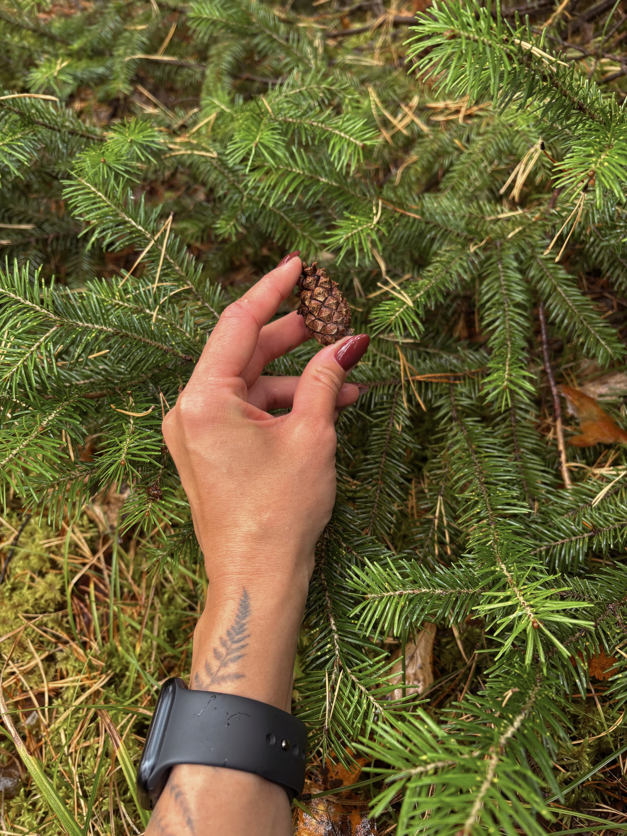Фото с походов на Айгир — Время приключений