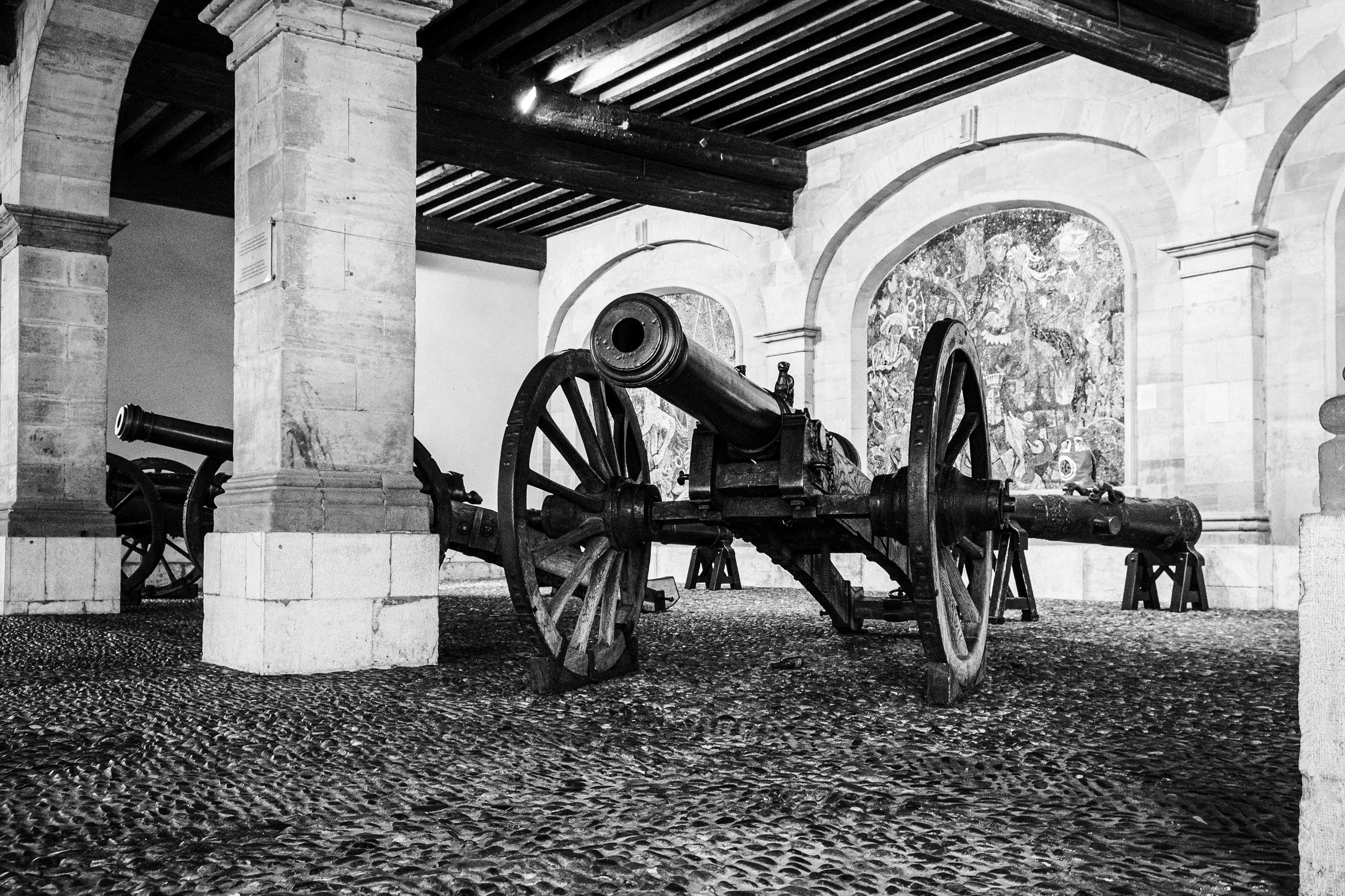 Женева. Фотограф Антон Швец — Монохромная реальность