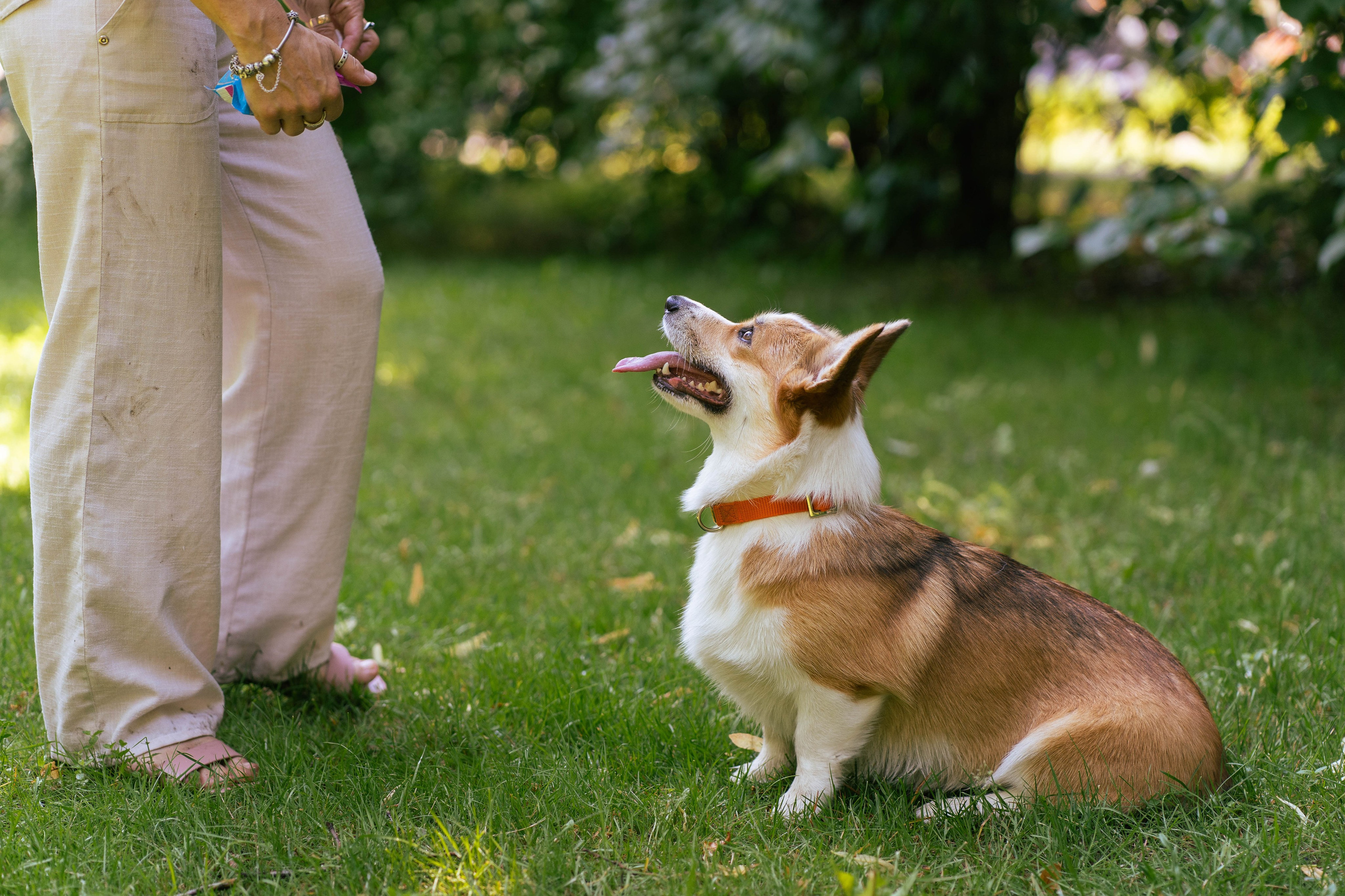 Ольга и коржики. Свадебный фотограф в Москве Анна Полушина