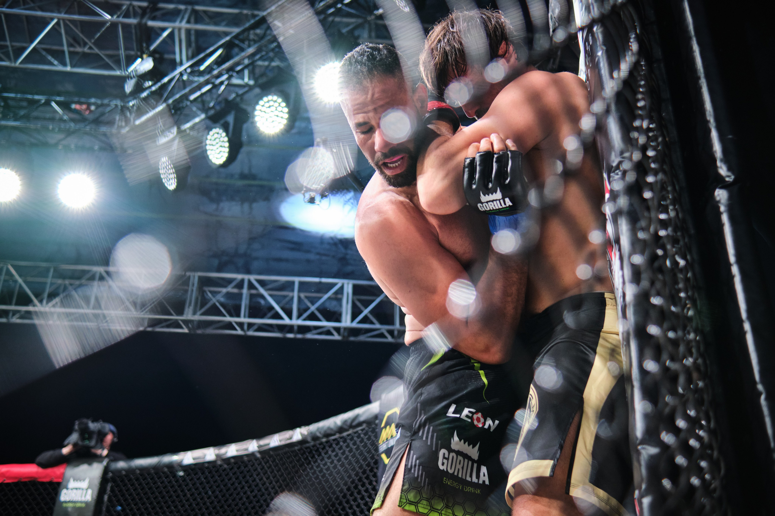 ММА на ПРО ГЕШ. Свадебный и семейный фотограф в Новокузнецке Иван Иванов