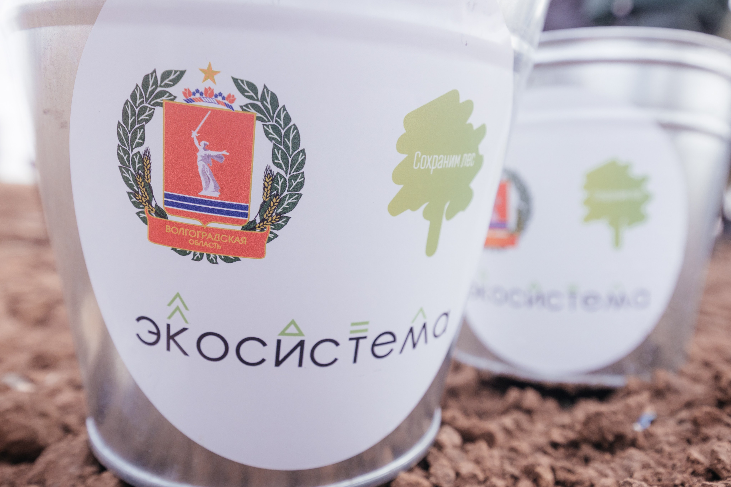 Сохраним лес. Фотограф Крохин Олег