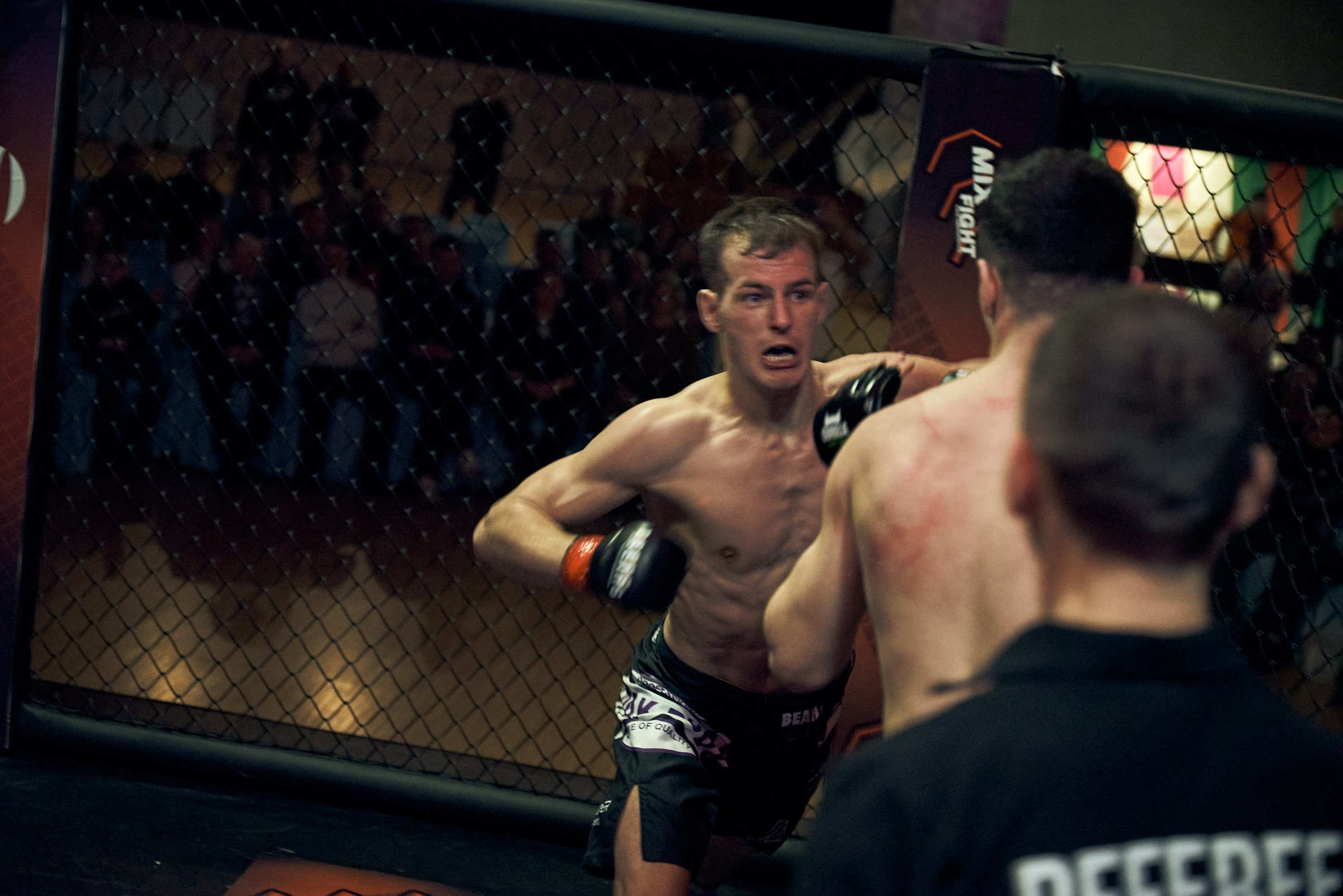 Бои. Маляревич Дмитрий свадебный фотограф