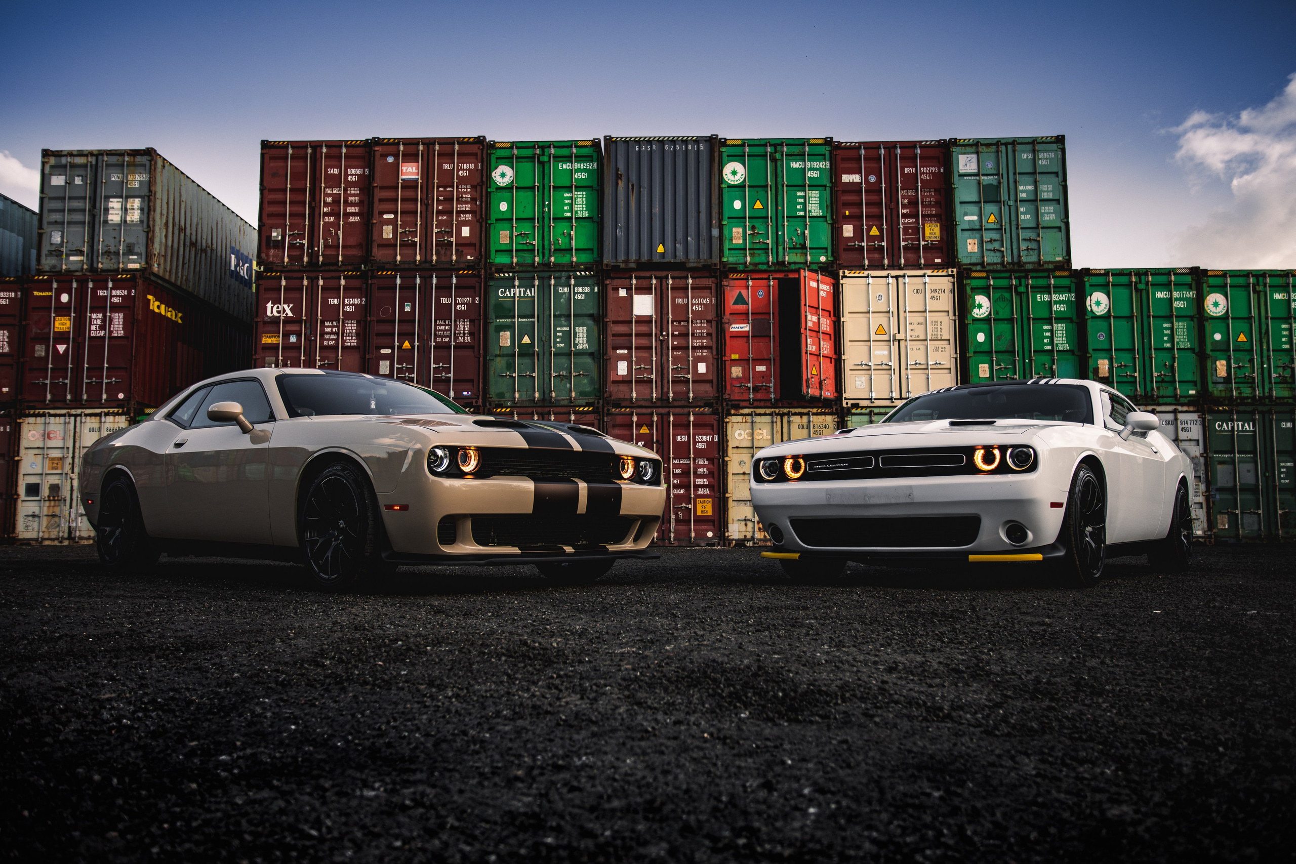 Dodge Challengers. Спортивный фотограф — Никита
