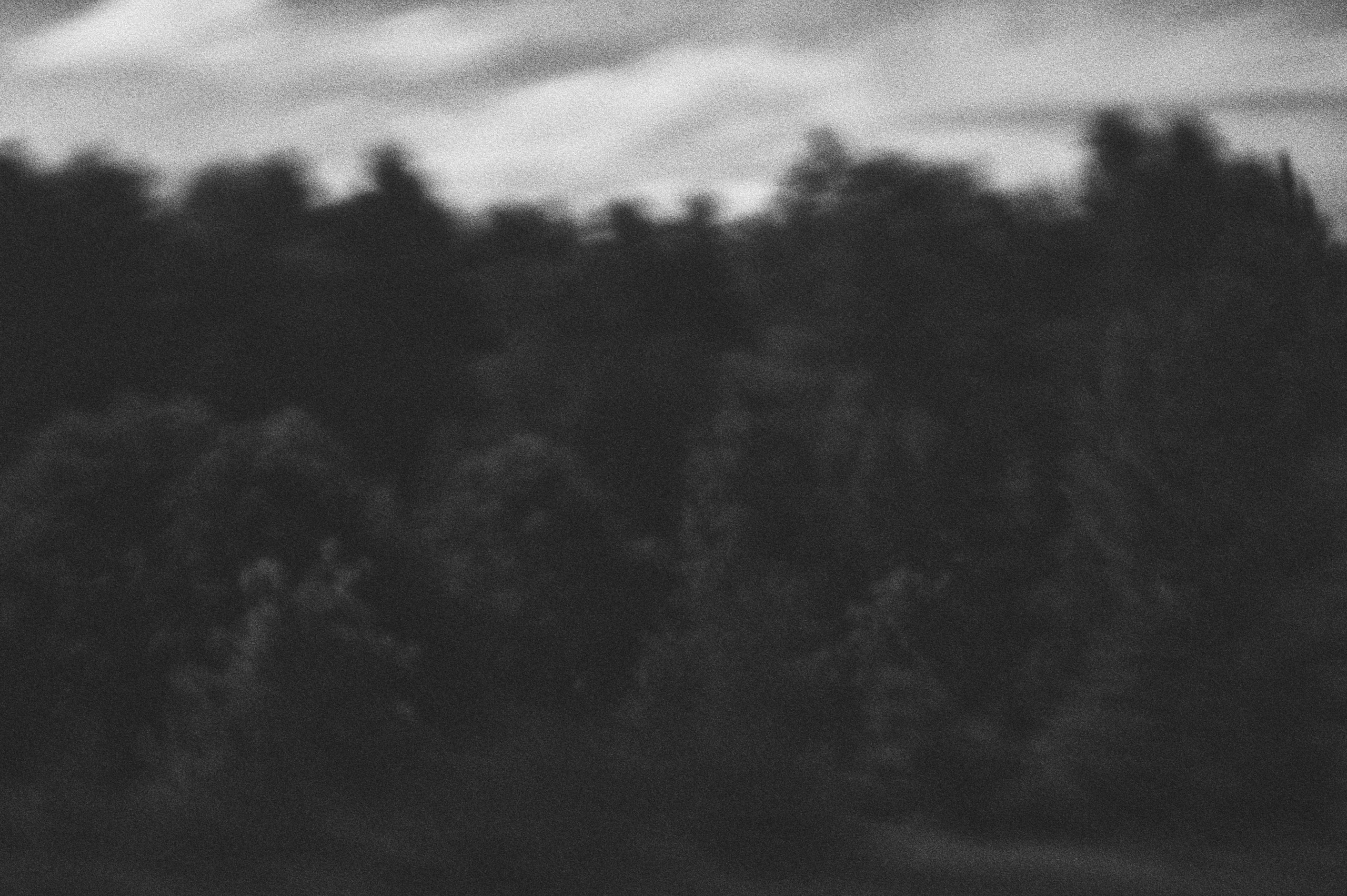 Negative Colors. Художественный фотограф в Москве Алексей Сутягин