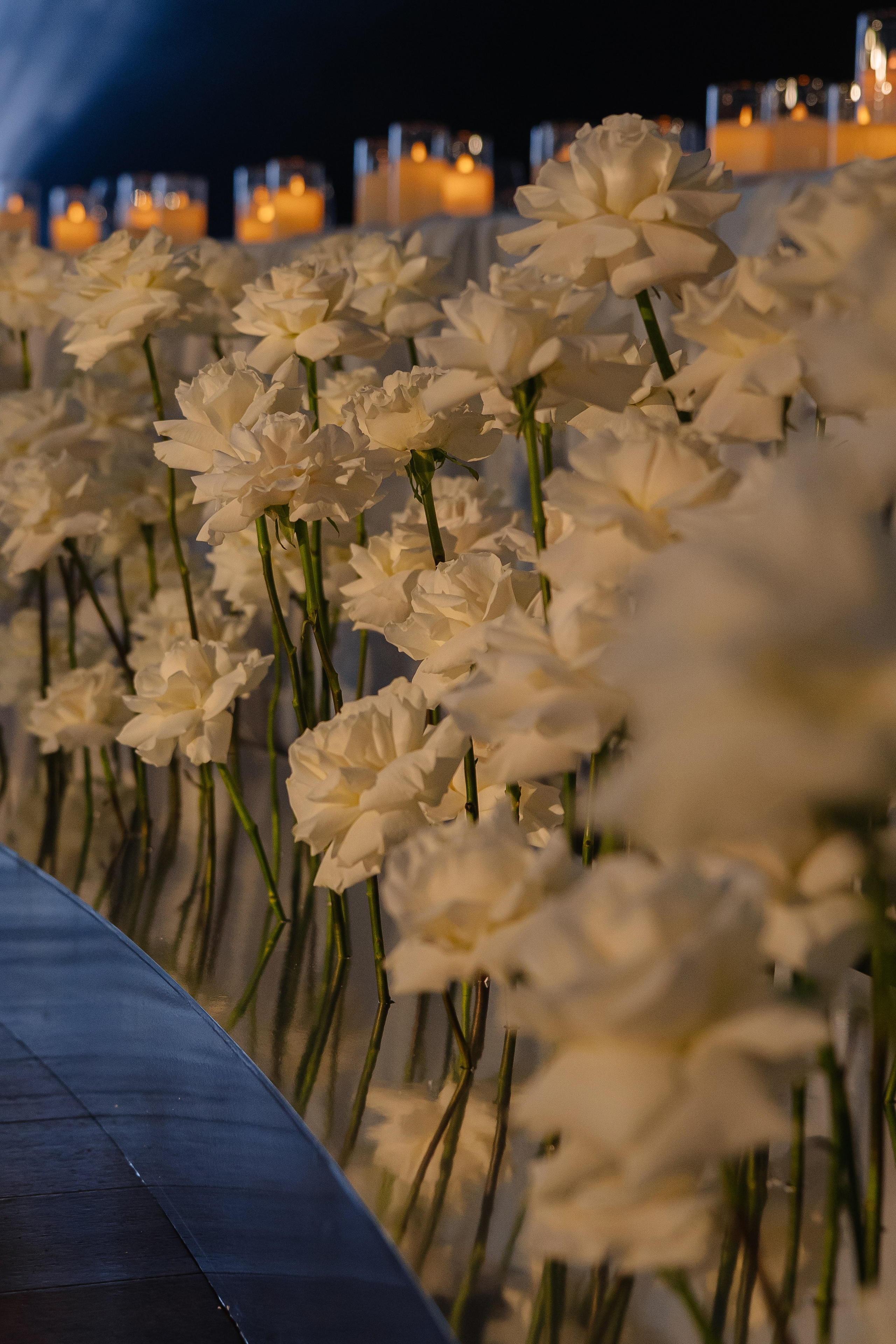 Моя жизнь. Свадебный и семейный фотограф в Анапе Елена Полетаева