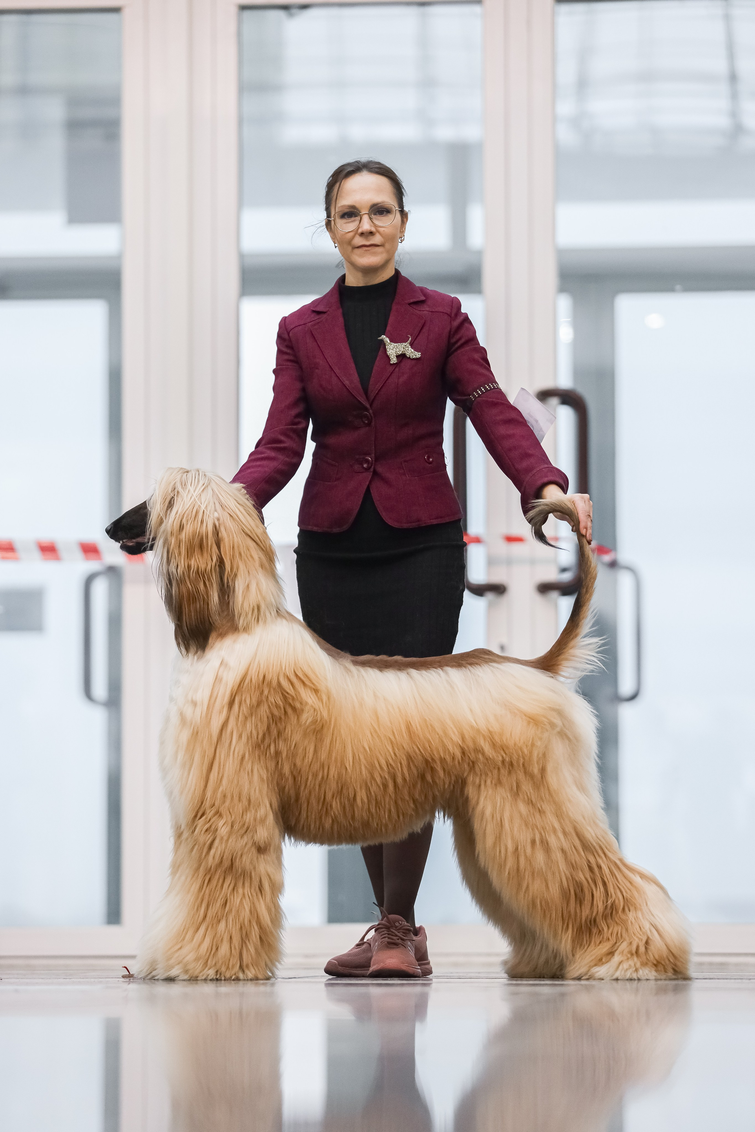 Международная выставка собак СACIB FCI 29-30.11.2025. Галерея фотографий афганской борзой