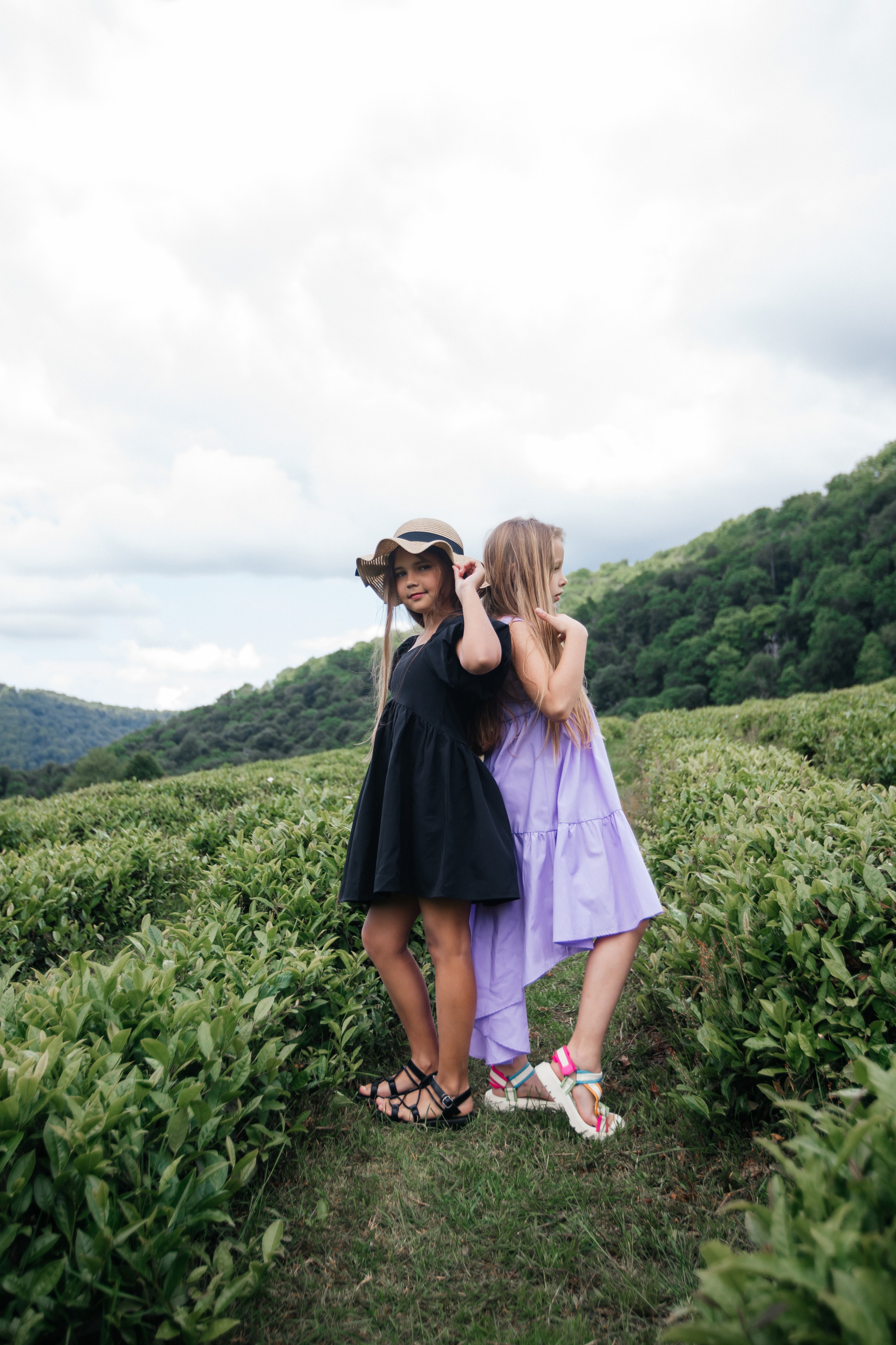 Tea plantation. Efimova Model Agency