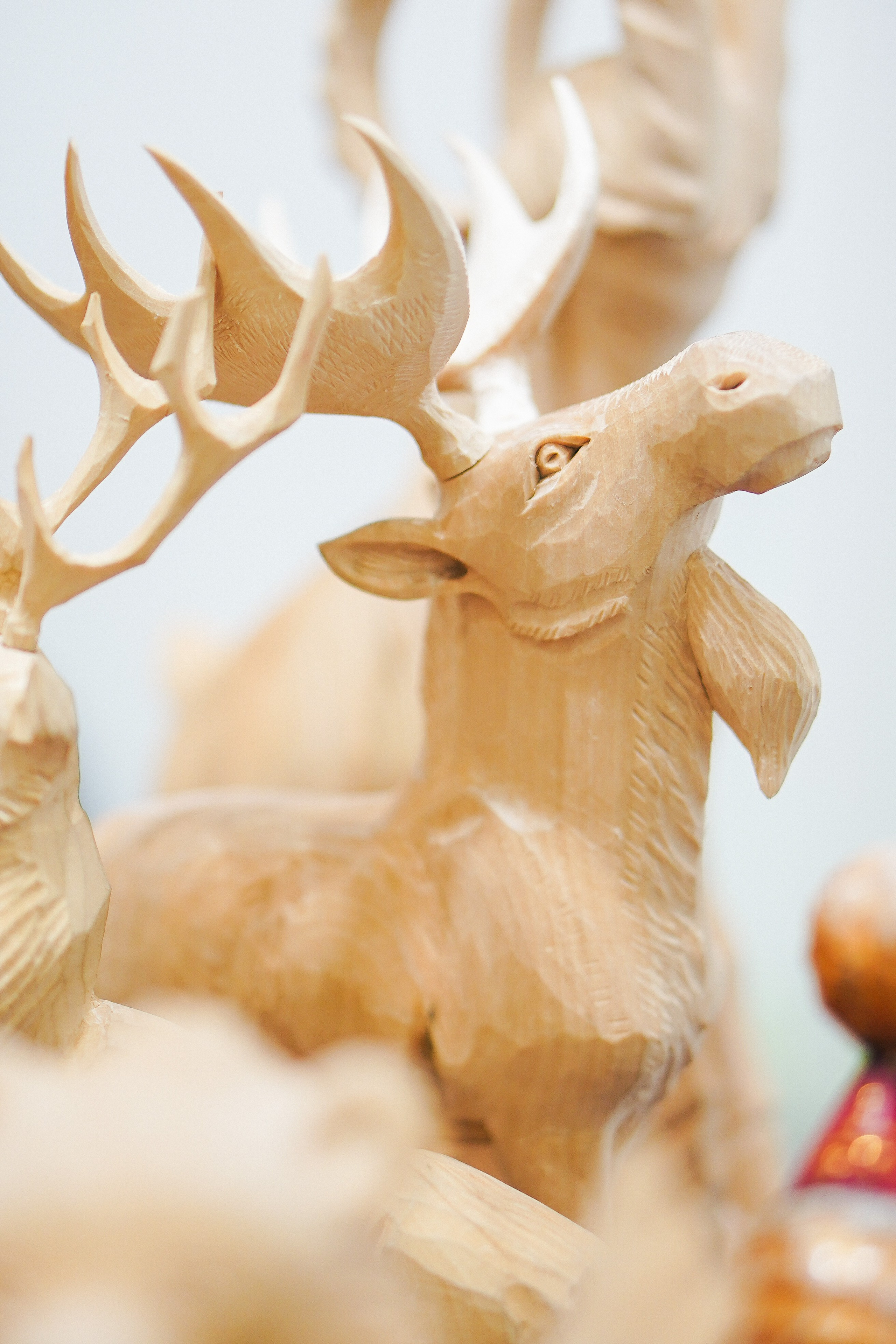 — репортажные. ФОТОГРАФ | город Москва, Нижний — Новгород