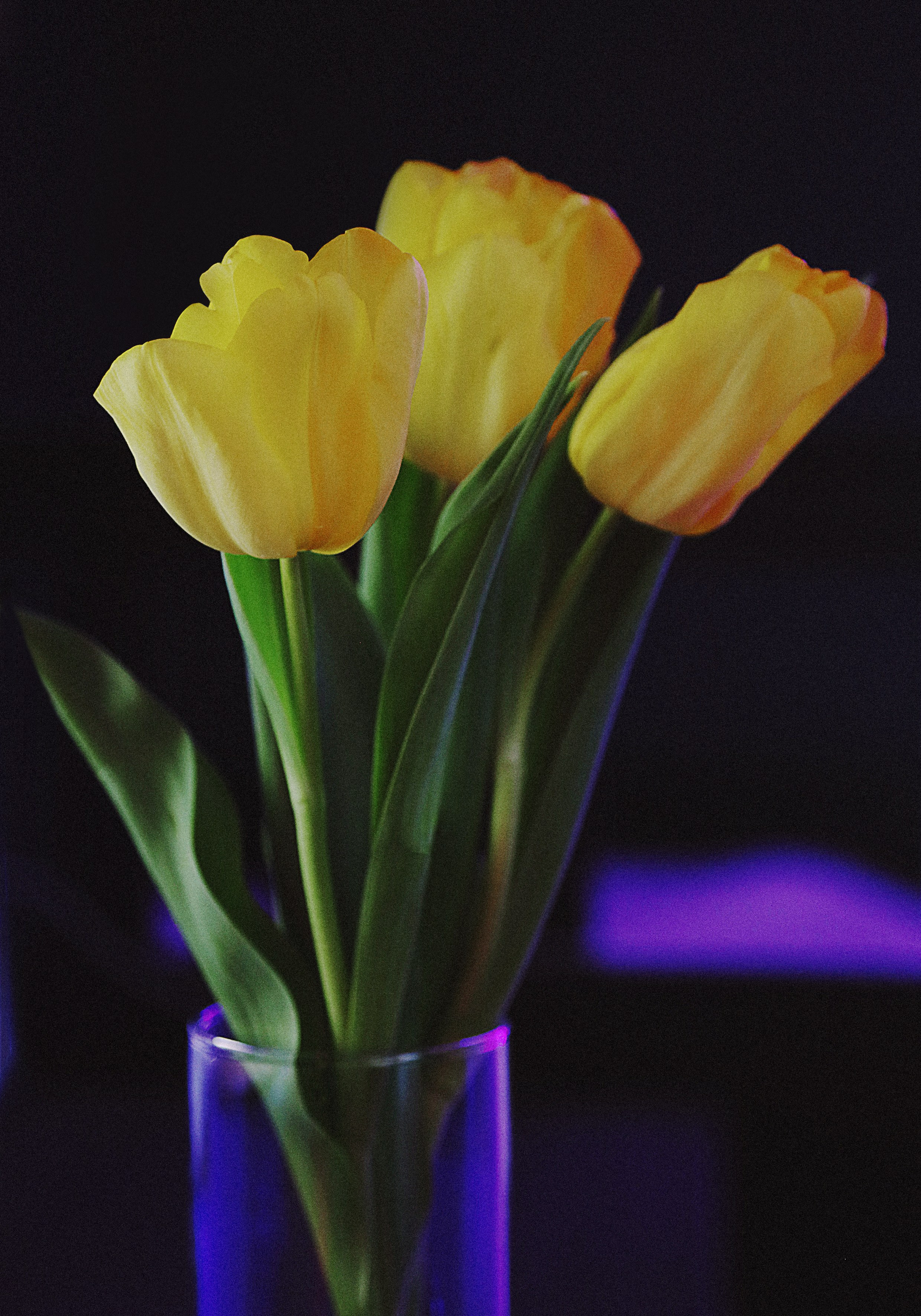 Проект «366»|2024|Фото каждый день. LENA GRACE photographer ||ЛЕНА ГРЭЙС фотограф