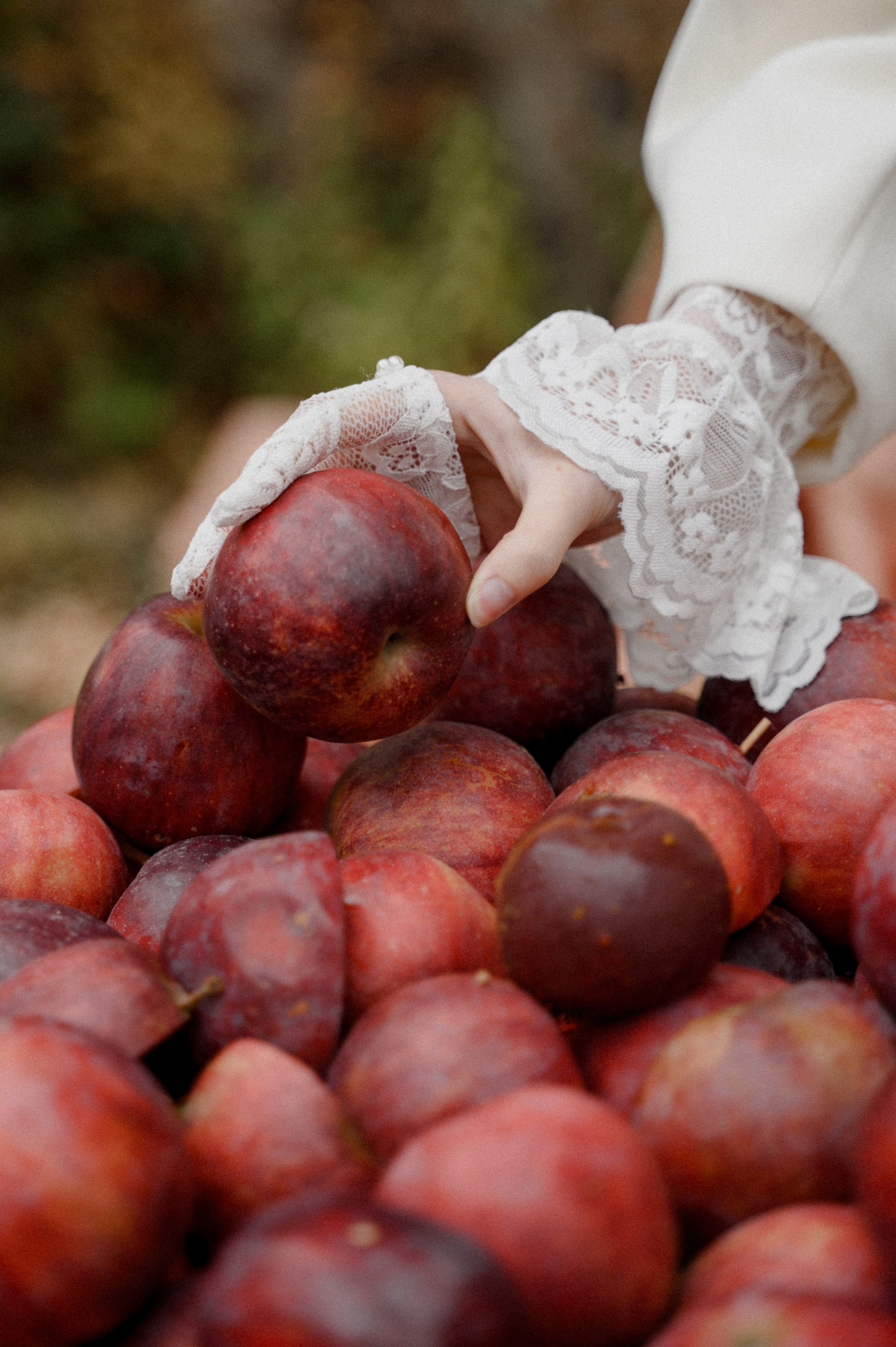 Свадебный фотограф Минск. Свадебный фотограф Минск