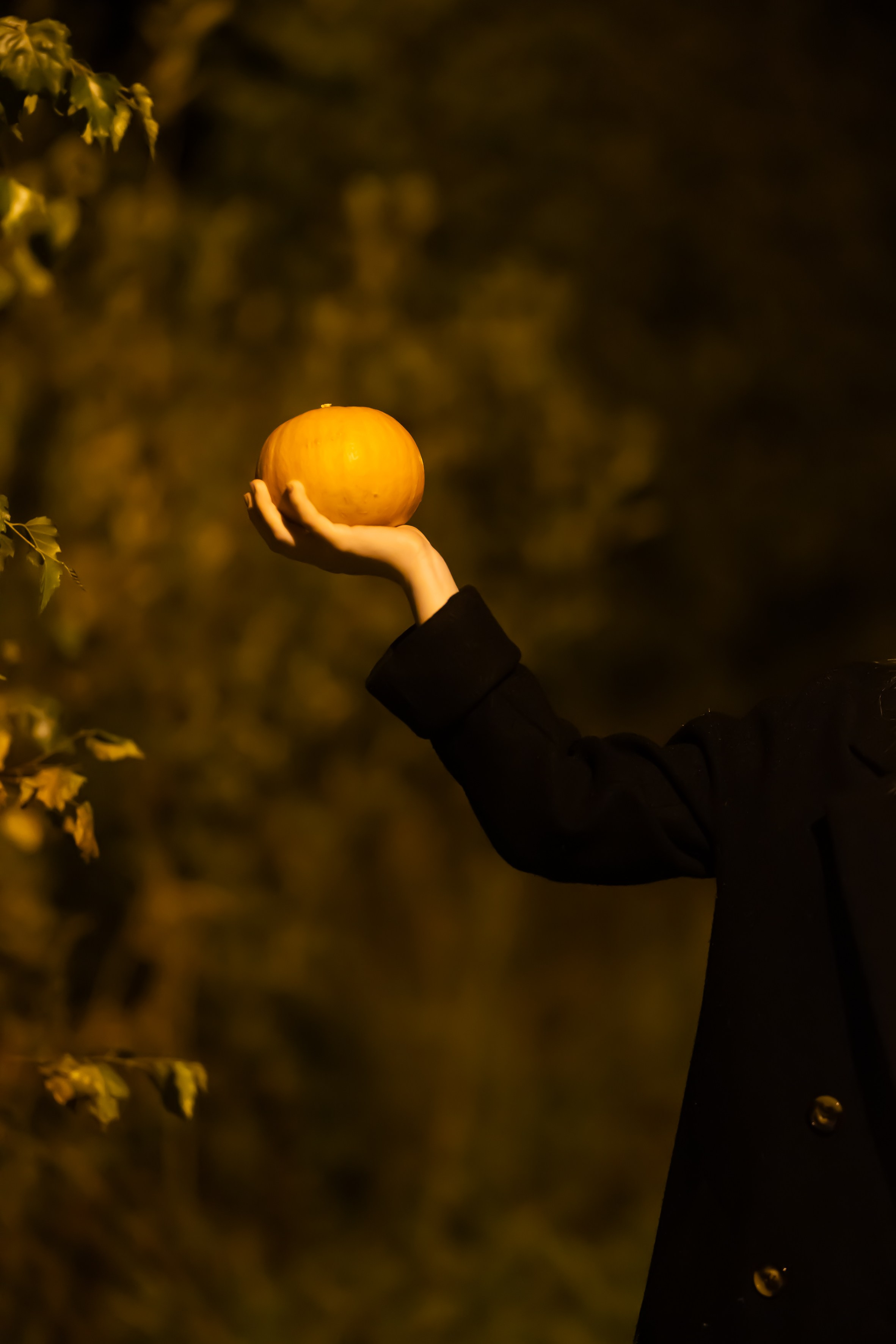 Ночная съёмка. Фотограф Диана Белогребень