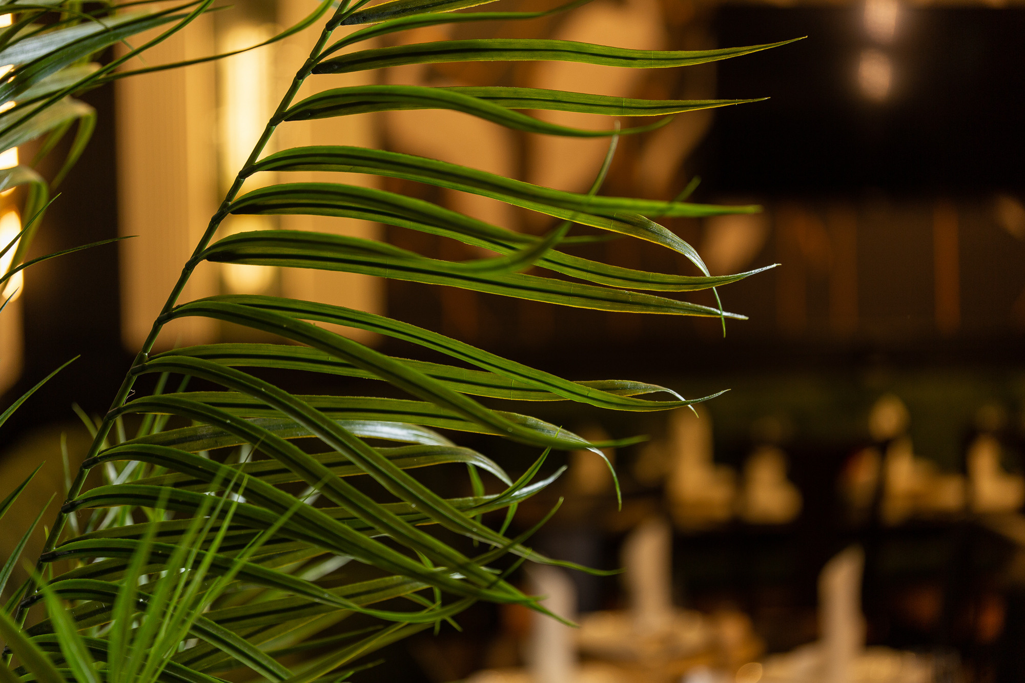 Renatphoto-Фотосъёмка для ресторана при отеле. Профессиональная фотосъёмка интерьеров, предметная фотосессия еды для меню г. Анапа