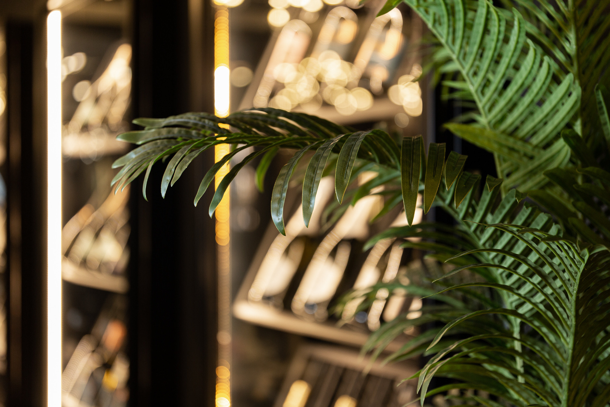 Renatphoto-Фотосъёмка для ресторана при отеле. Профессиональная фотосъёмка интерьеров, предметная фотосессия еды для меню г. Анапа