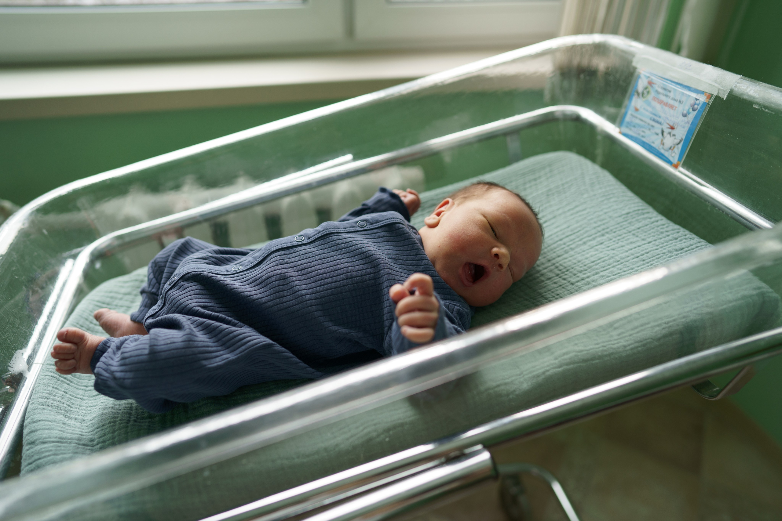 Фаддей в роддоме. Семейный и детский фотограф Москва Дарья Бугра