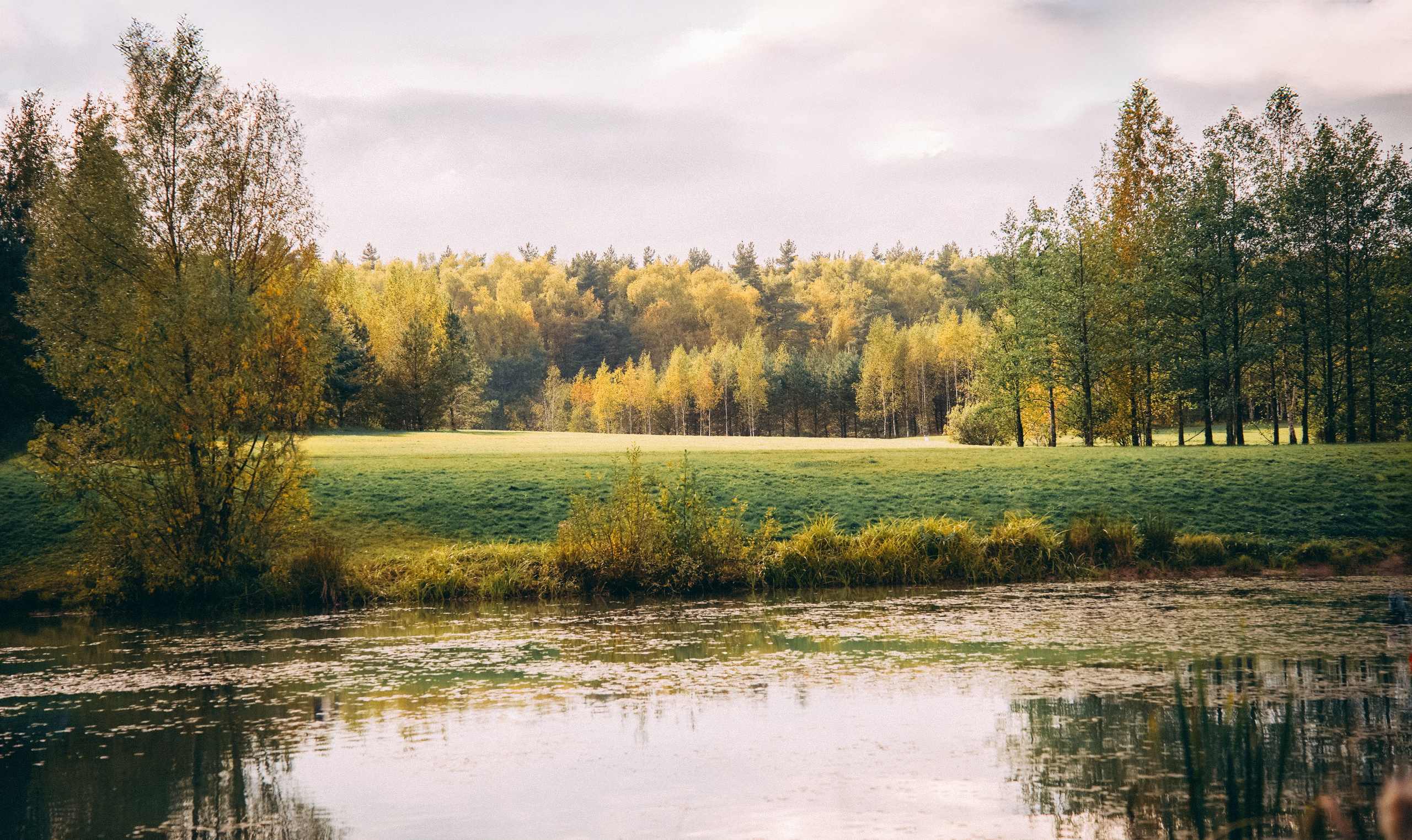 Осень 2025. Фотограф из Москвы — DASHA NOVA | Авторская фотография в разных жанрах
