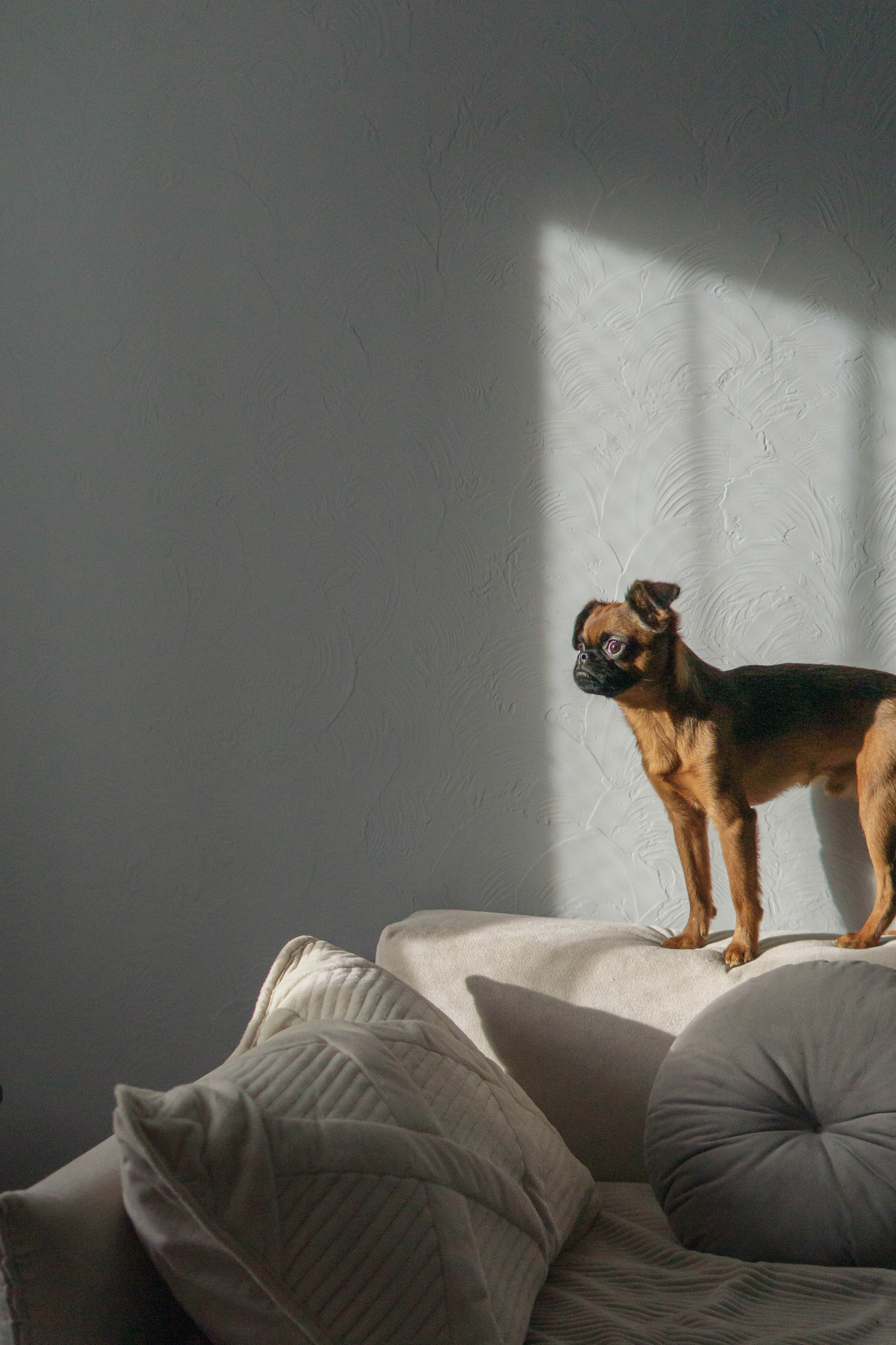 Надя и Ефим. Фотограф-анималист Ксения Воробьева, Москва