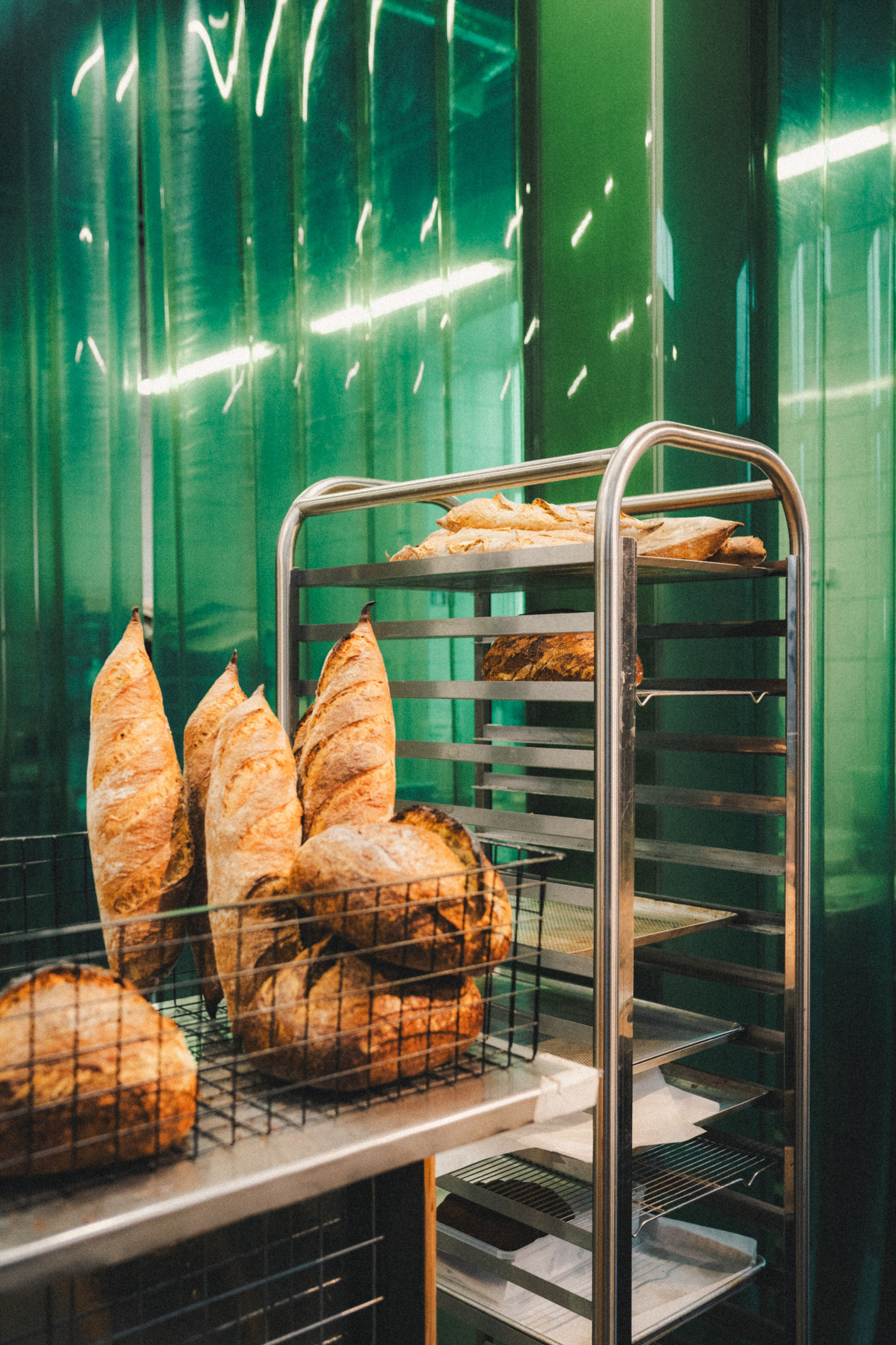 DNA. Фотограф Илья К. в Москве