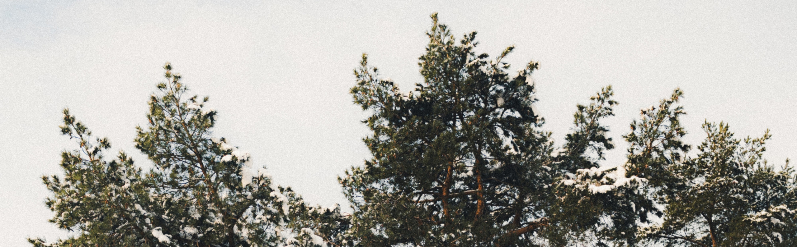 Автомобильная фотосессия Volvo XC90 + портрет владельца. Фотограф Илья К. в Москве