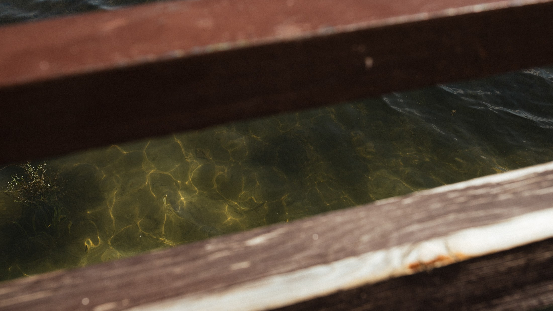 La-la land. Портретный и репортажной фотограф Алексей Волков. Москва, Оренбург