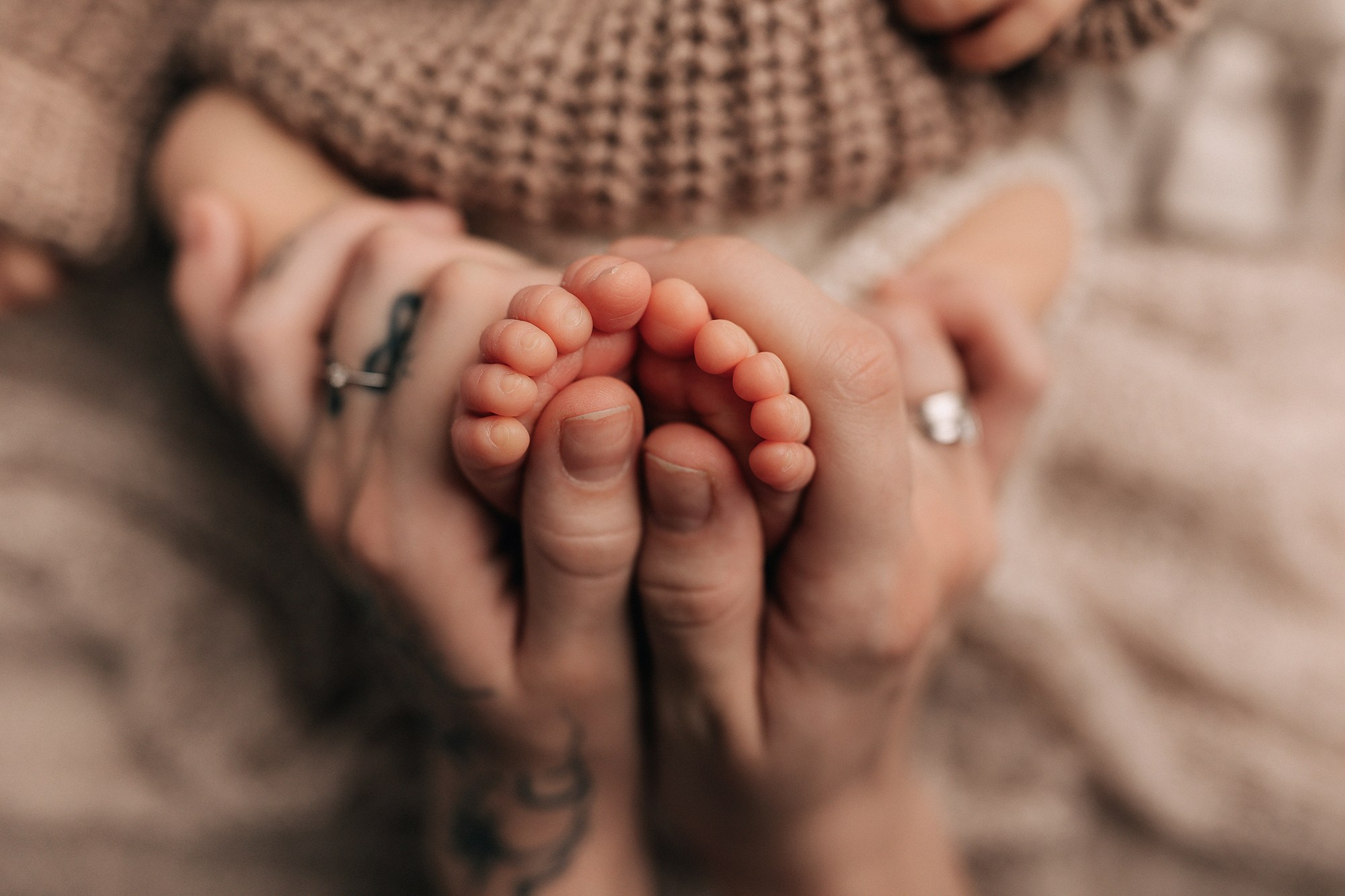 Василий 12 дней. Семейный фотограф новорождённых в Серпухове Юлия Новикова +79637785957