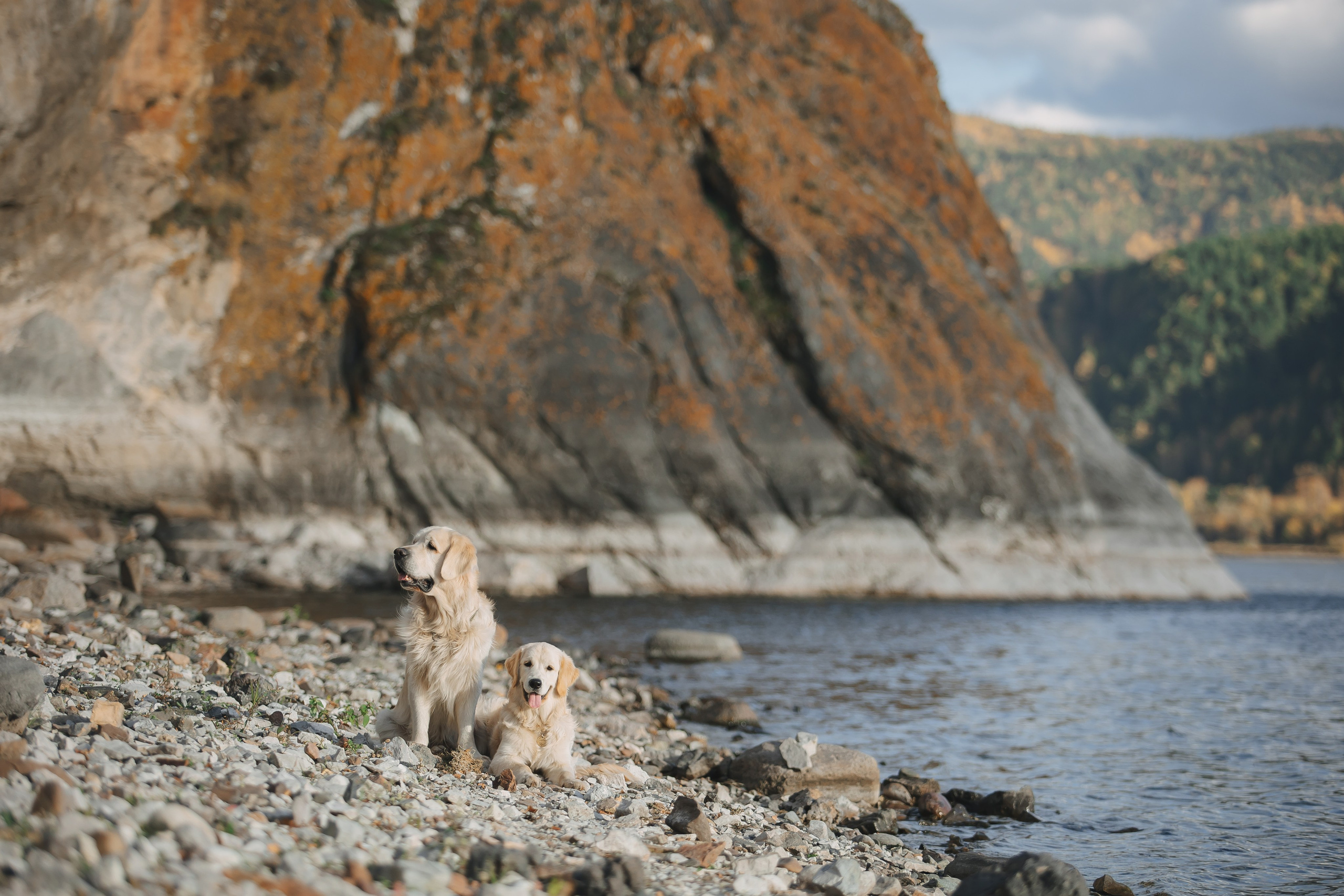 Снежик и Веста. Свадебный и женский фотограф