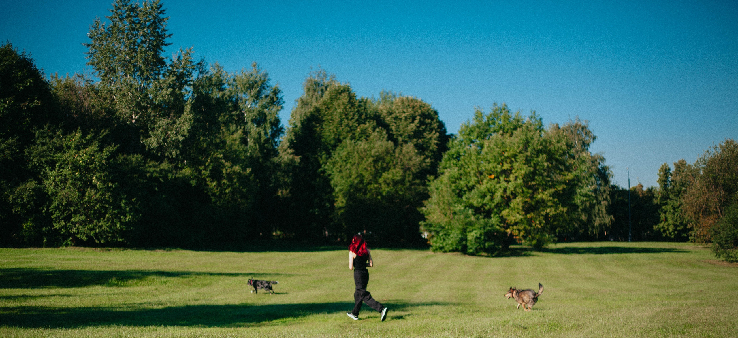 Вега и Гриша. Главная
