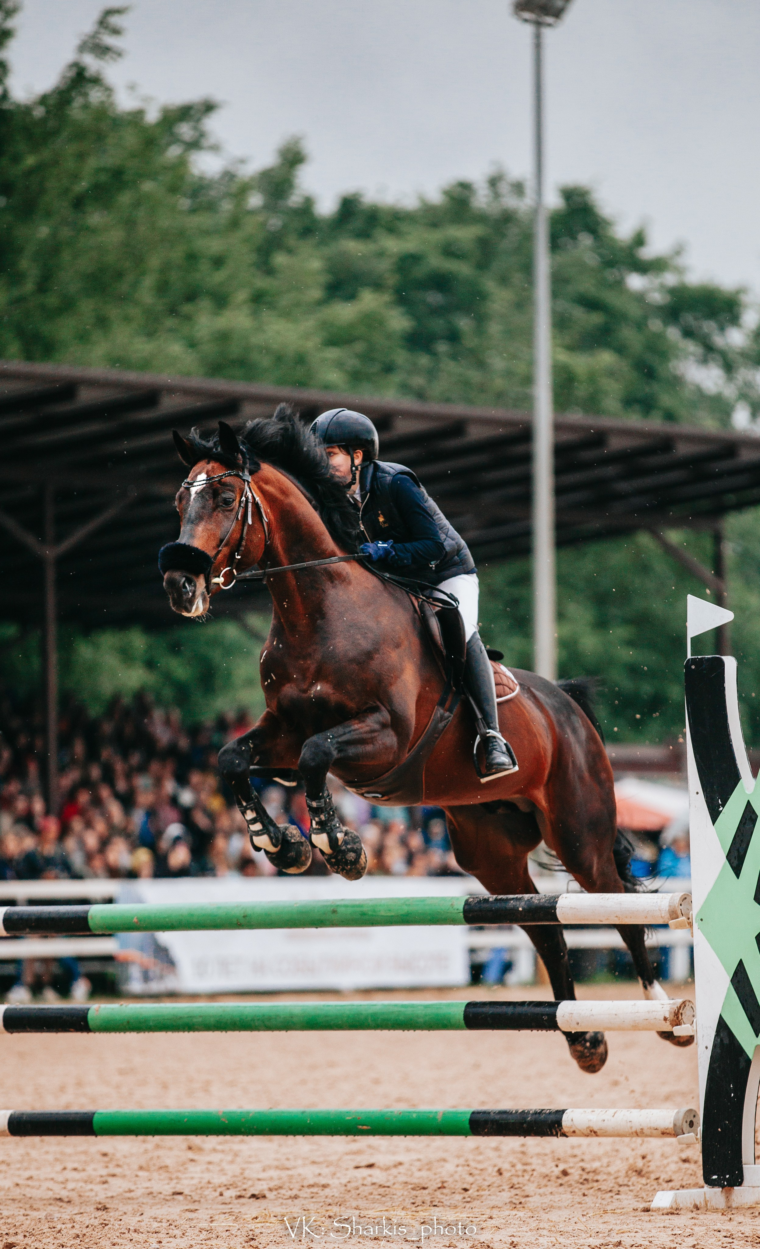 Лошади. Главная