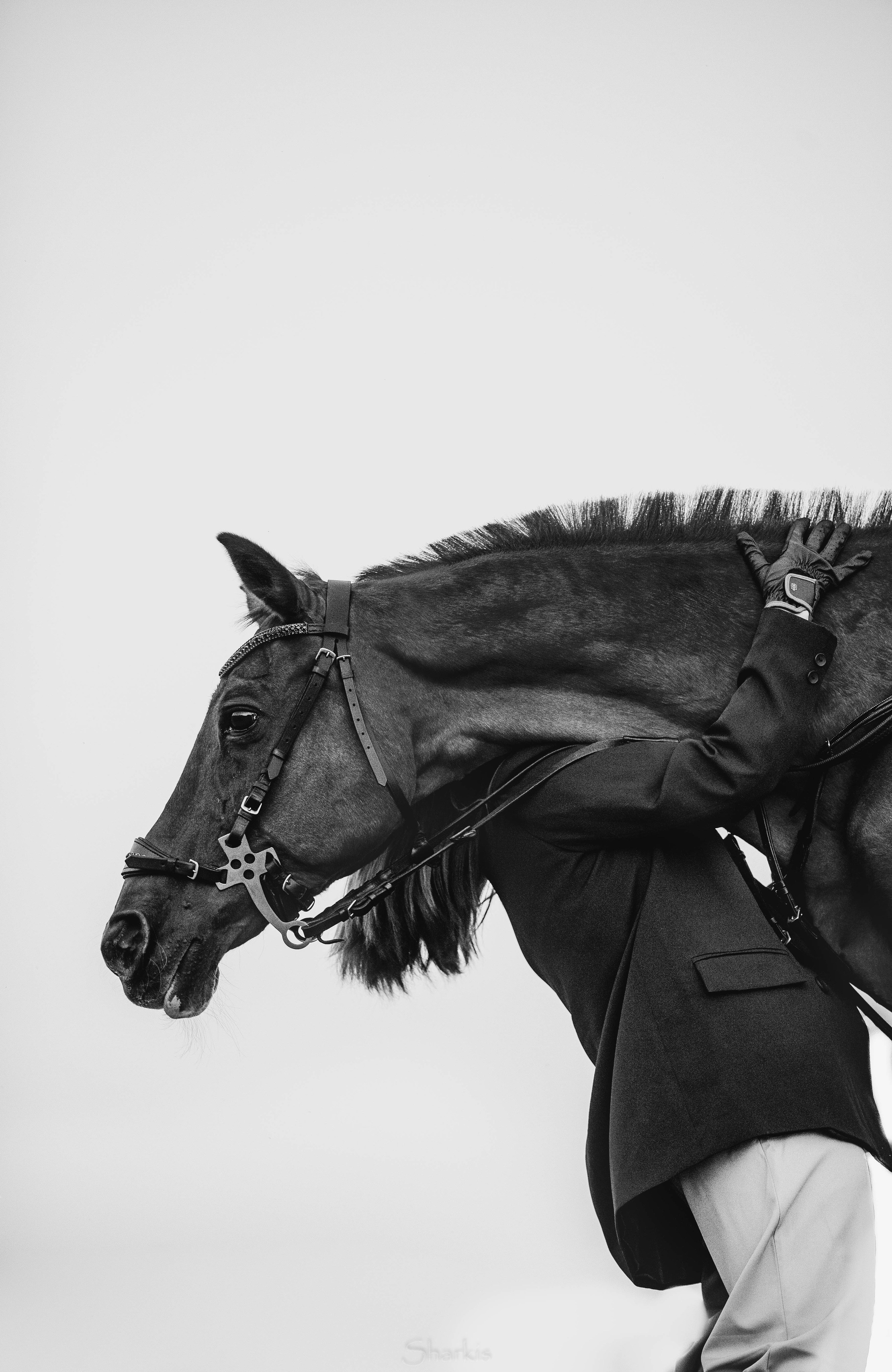 Аня и Гас. Главная