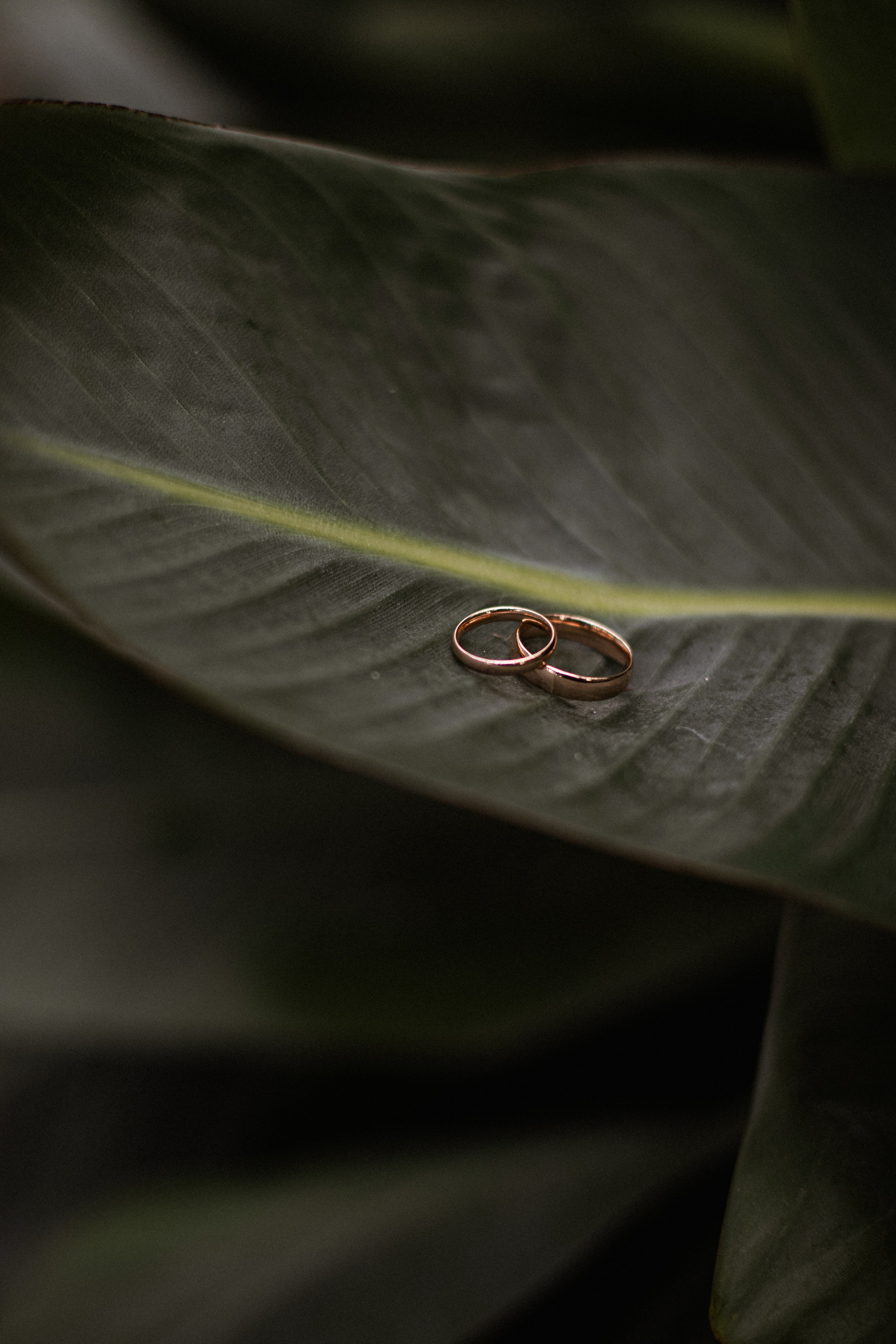 Wedding. Фотограф Санкт-Петербург | Валерия Рогальская