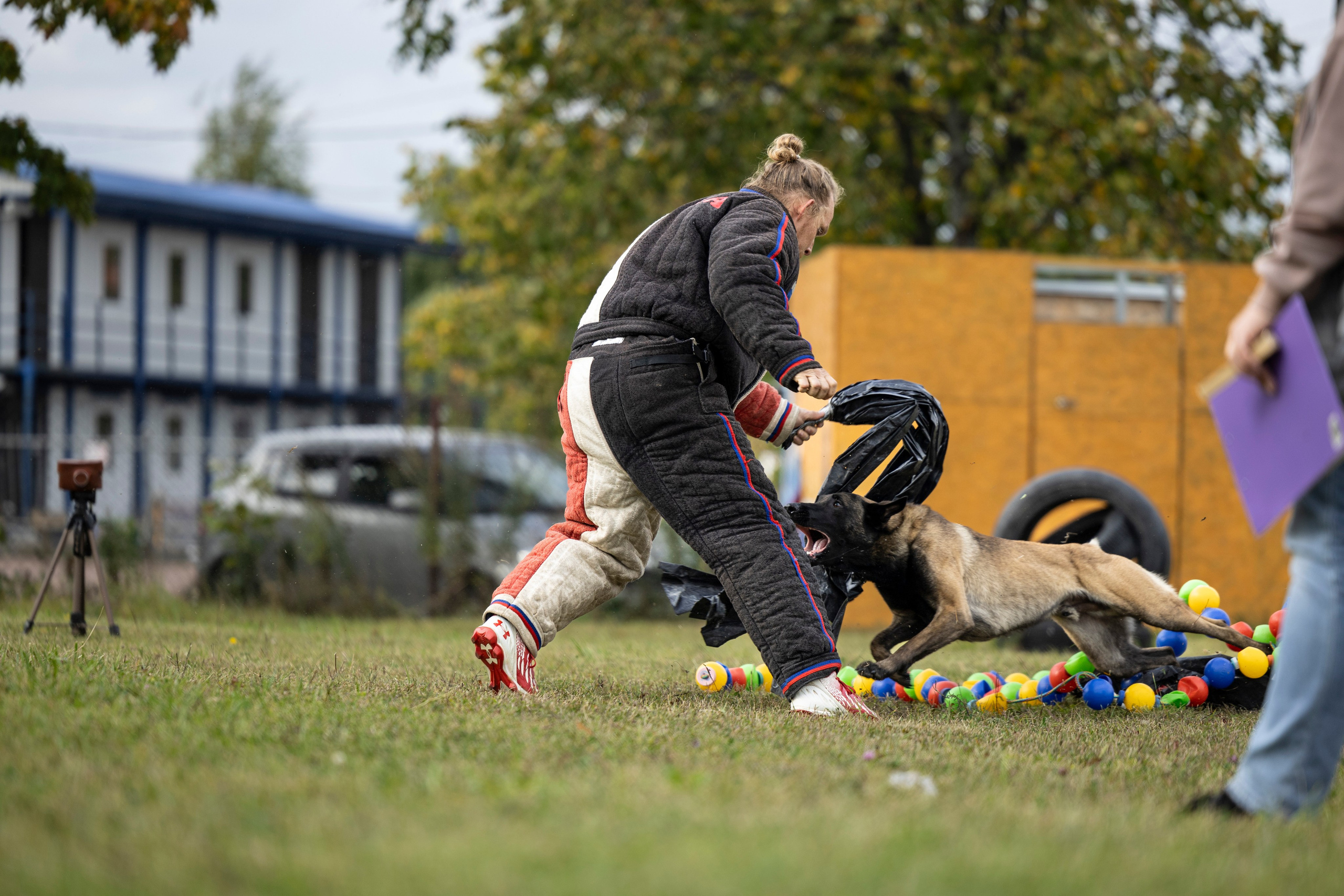 Испытания по Мондьорингу г. Пушкин. Фотограф-анималист Анна Маринич