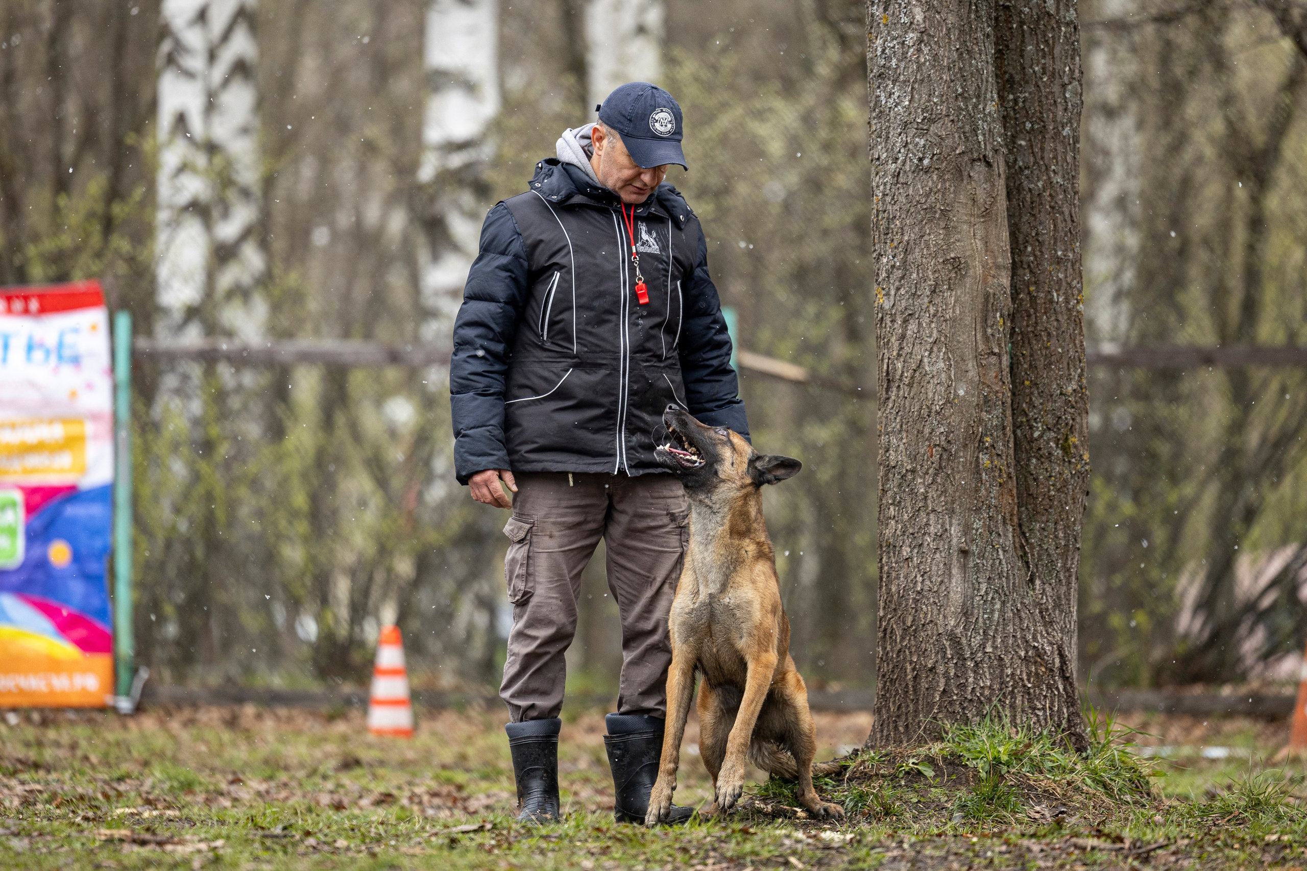 Квалификационные состязания по мондьорингу г. Вологда 11.05.24. Фотограф-анималист Анна Маринич