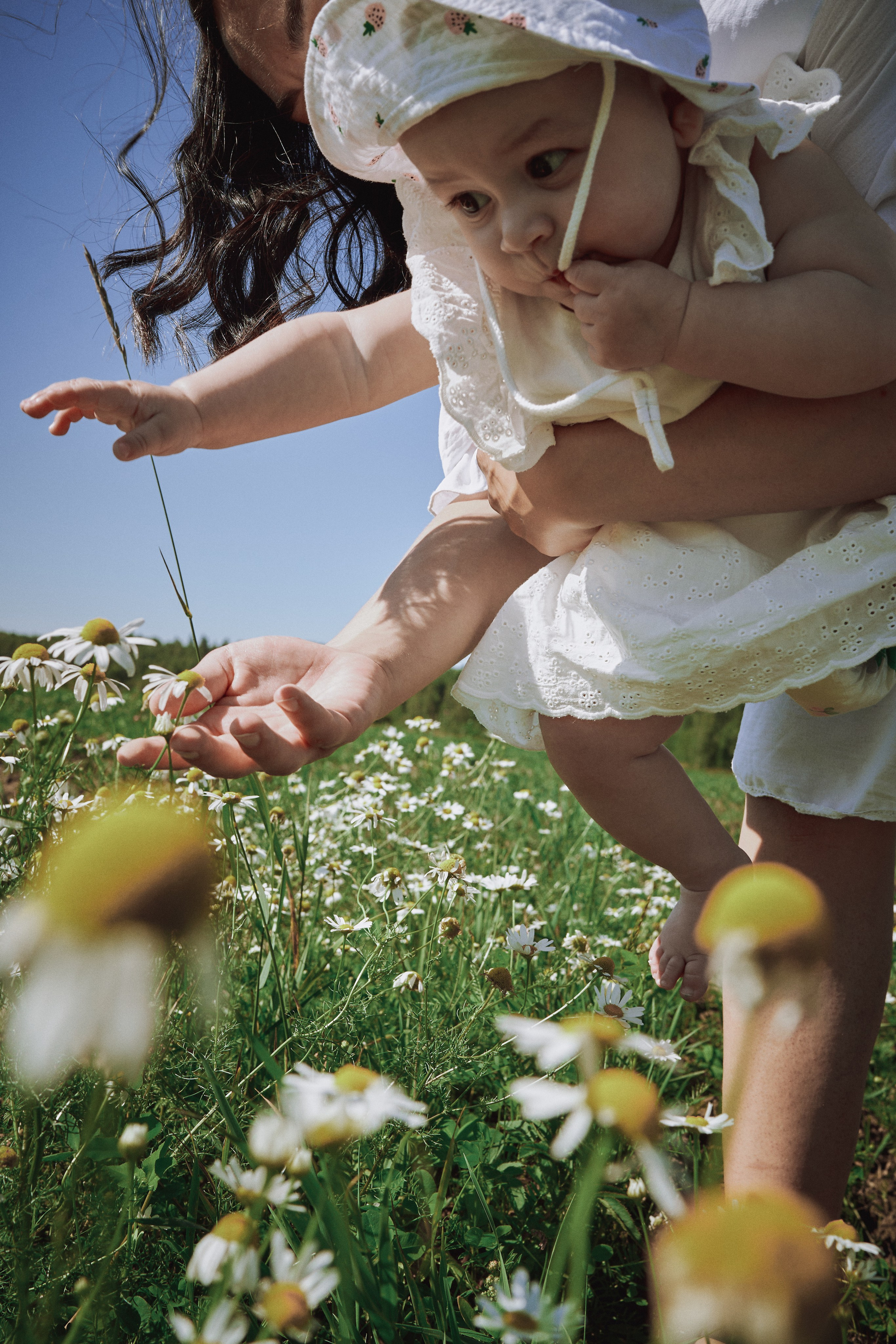 Поле с ромашками. Фотограф в Санкт-Петербурге | Аня Маленчук