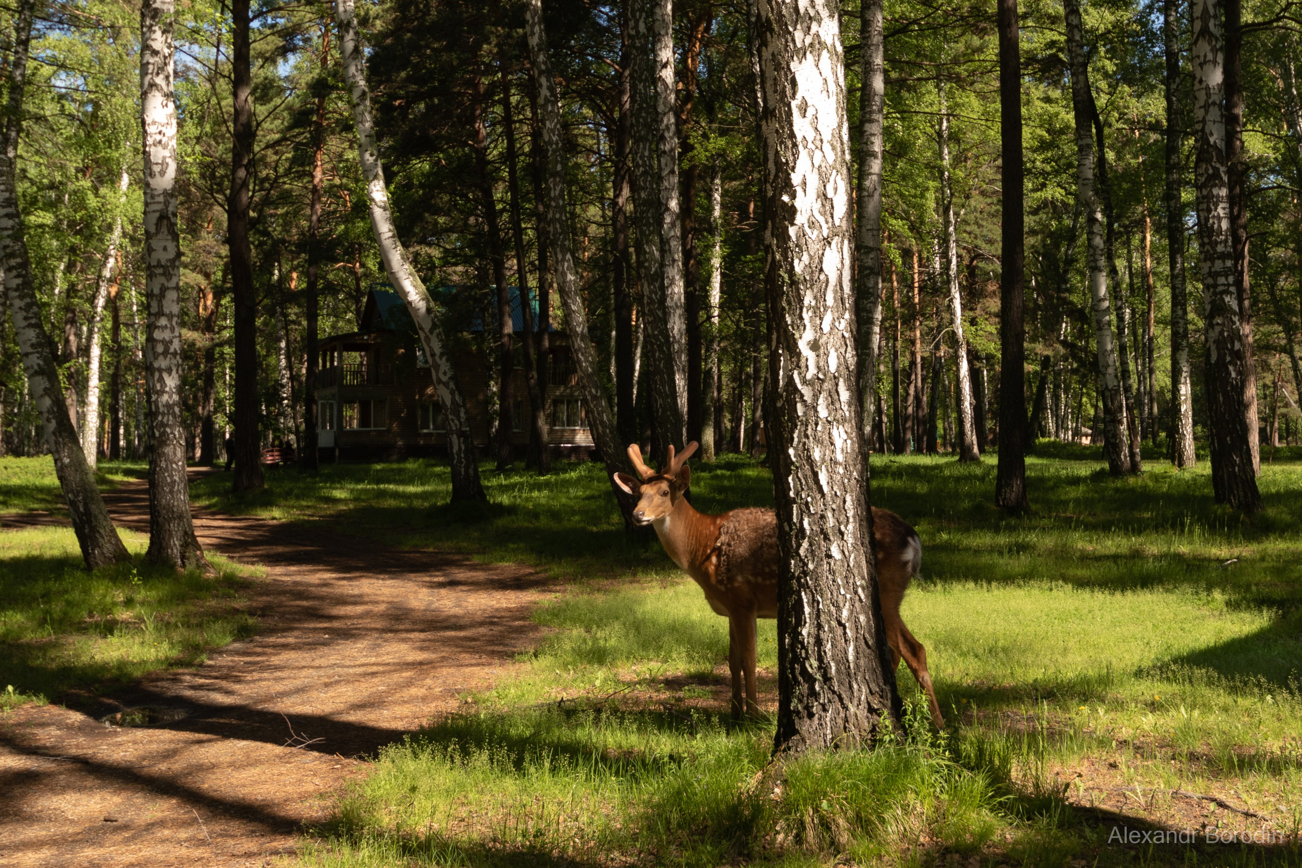 Пейзажи. Профессиональный фотограф Александр Бородин