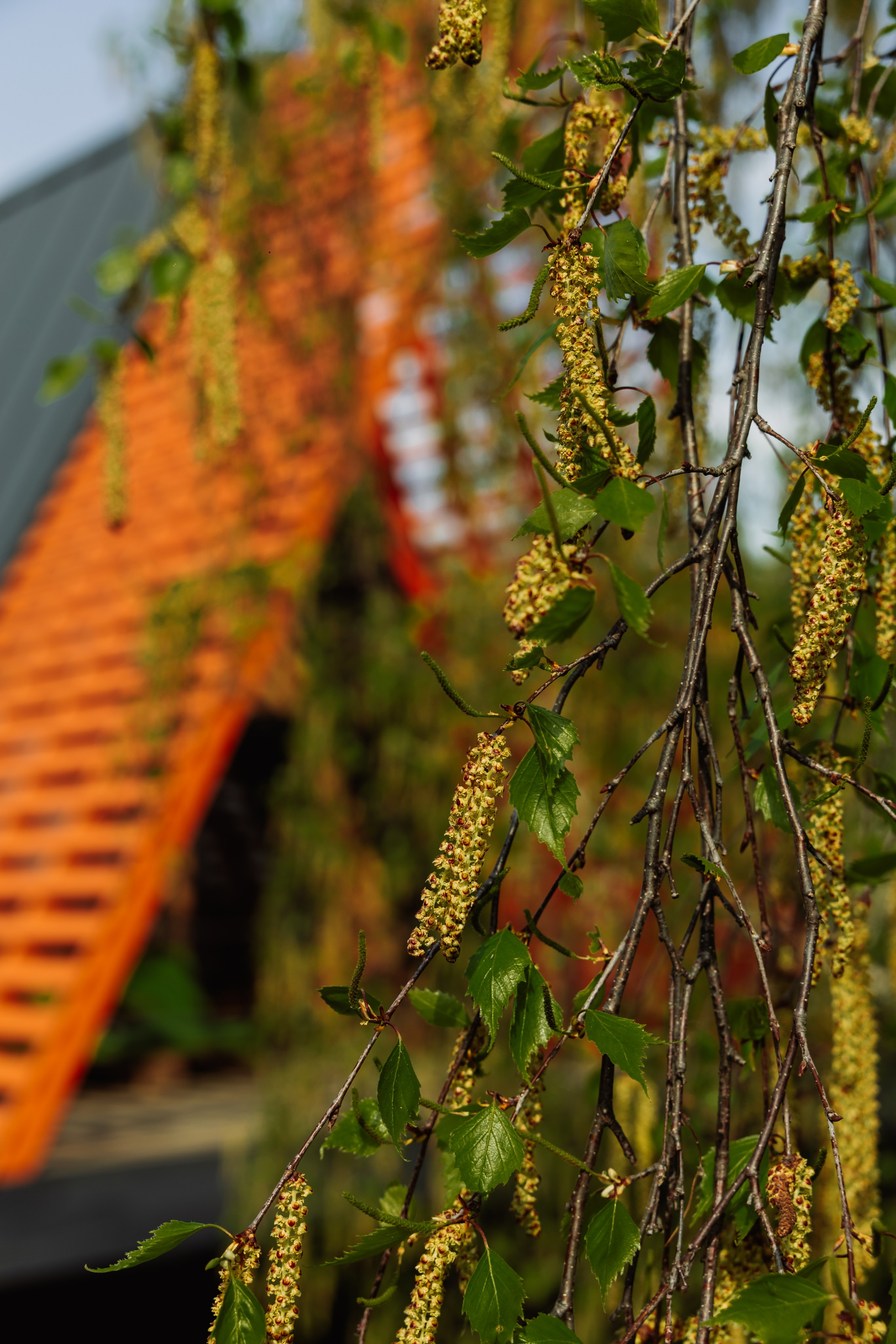 KUKSA|ТО, ЧТО ТЕБЯ СОГРЕВАЕТ|Кело-баня на дровах, г. Коломна. ФОТОГРАФ ИРИНА ШАМАТАВА