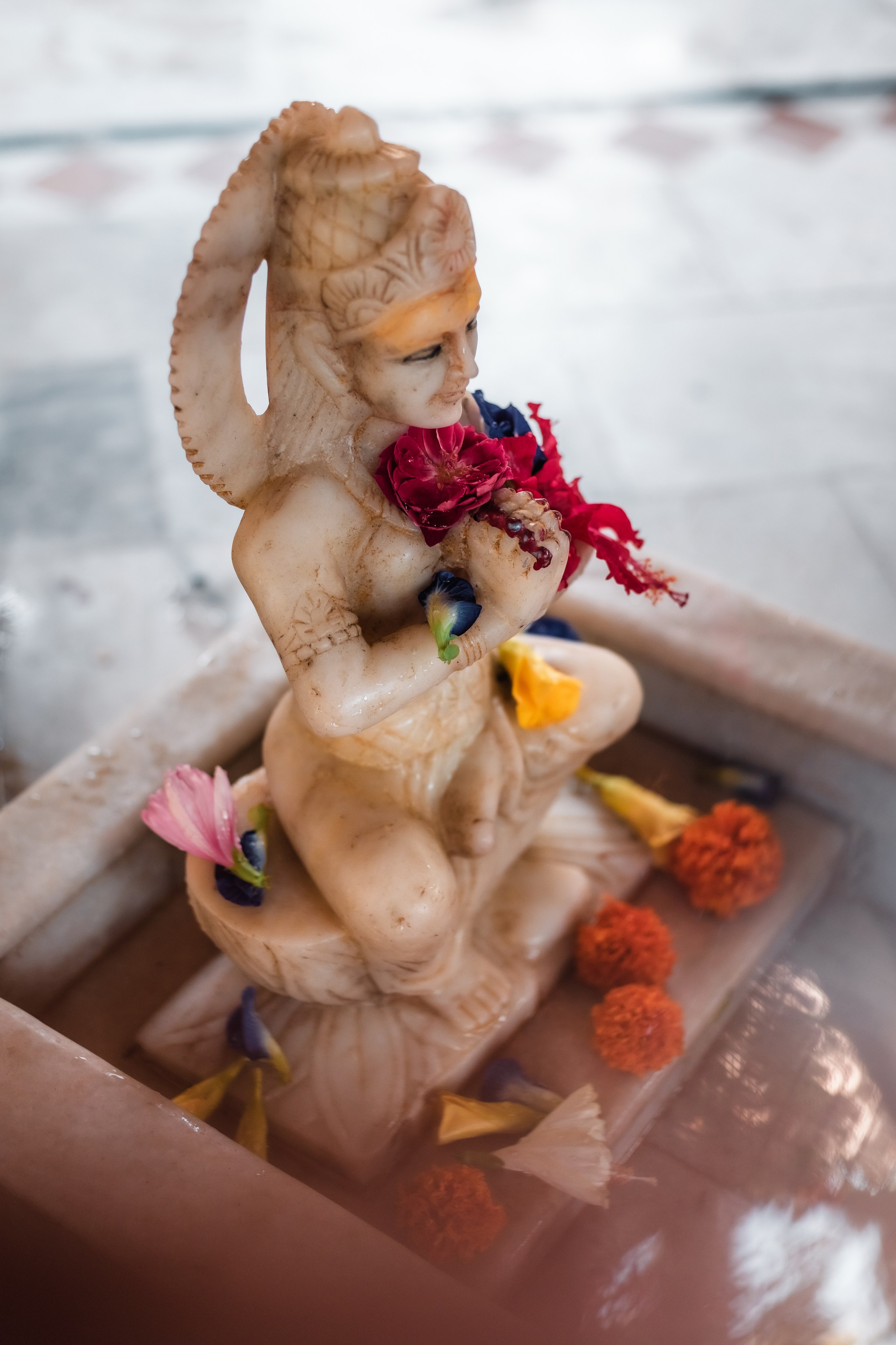 Devraha baba ji ashram life 2025. Mariam Bagdasaryan