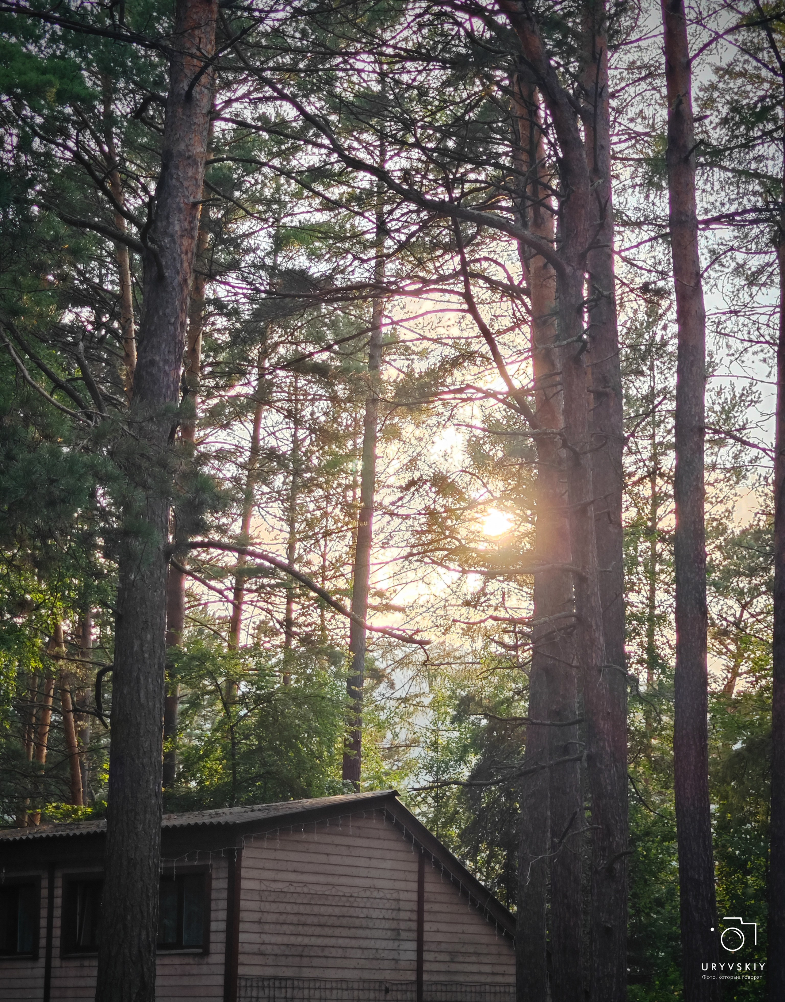 Командор, Хороший. День торговли 2025. Игорь Урывский. Фотограф Красноярск