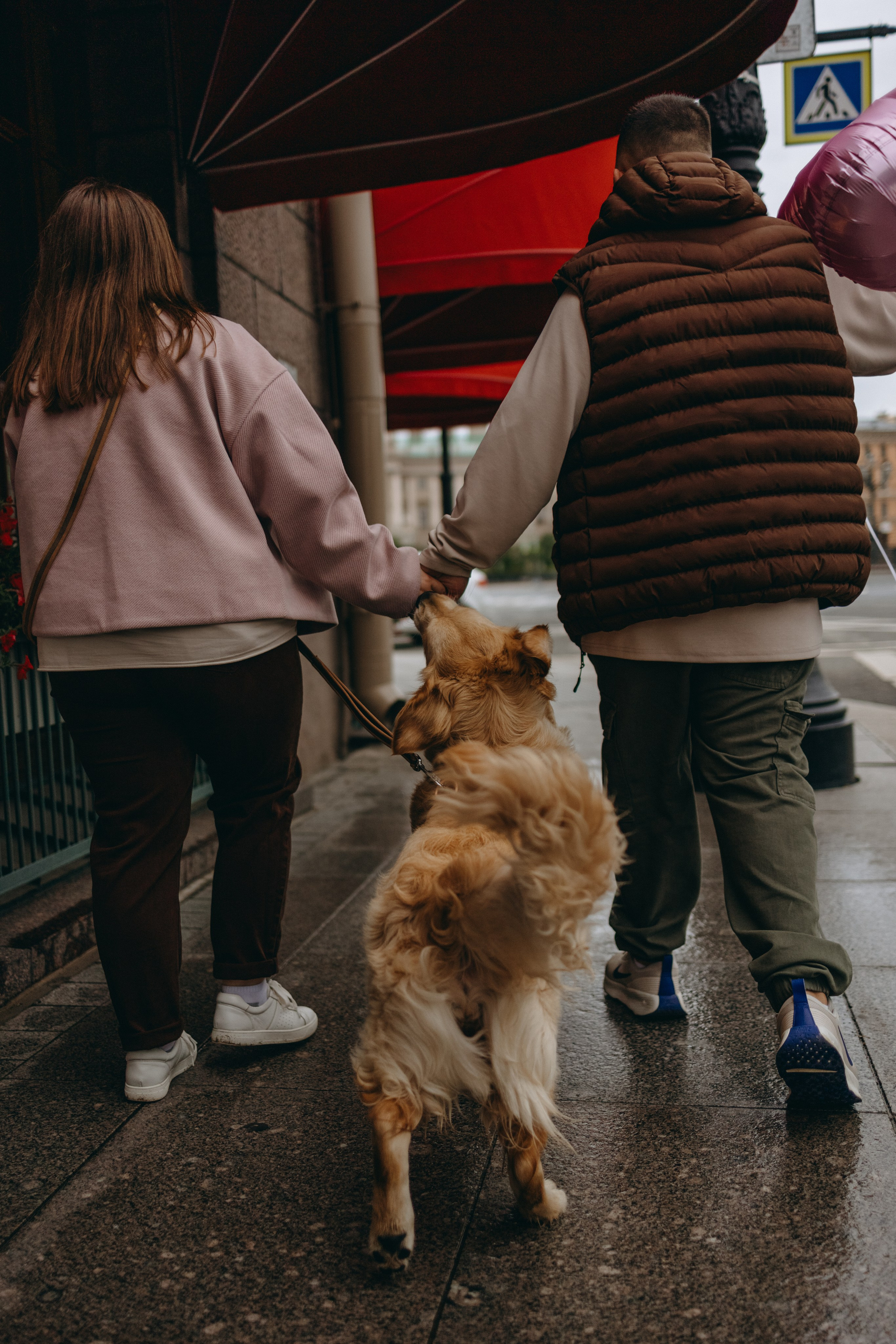 Бетти и ее семья. Фотограф — Анималист | Санкт-Петербург