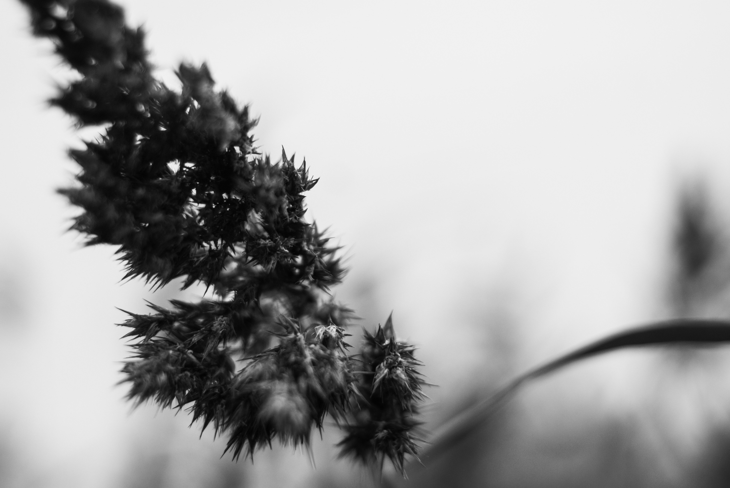 Внутривенные сны (2018-2023)