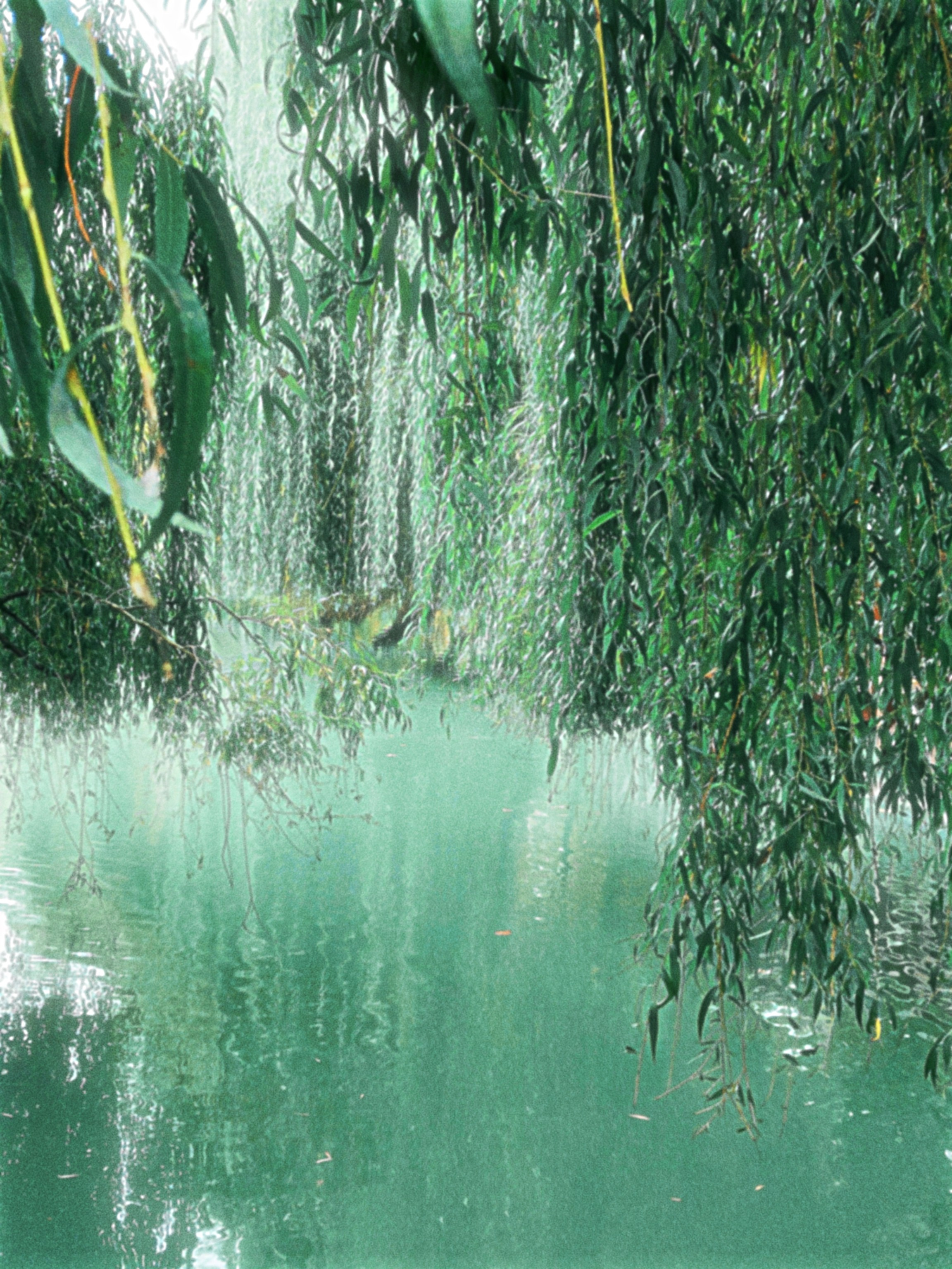 Street/travel. Sveti Sveta • визуальный артист Светлана Дубских