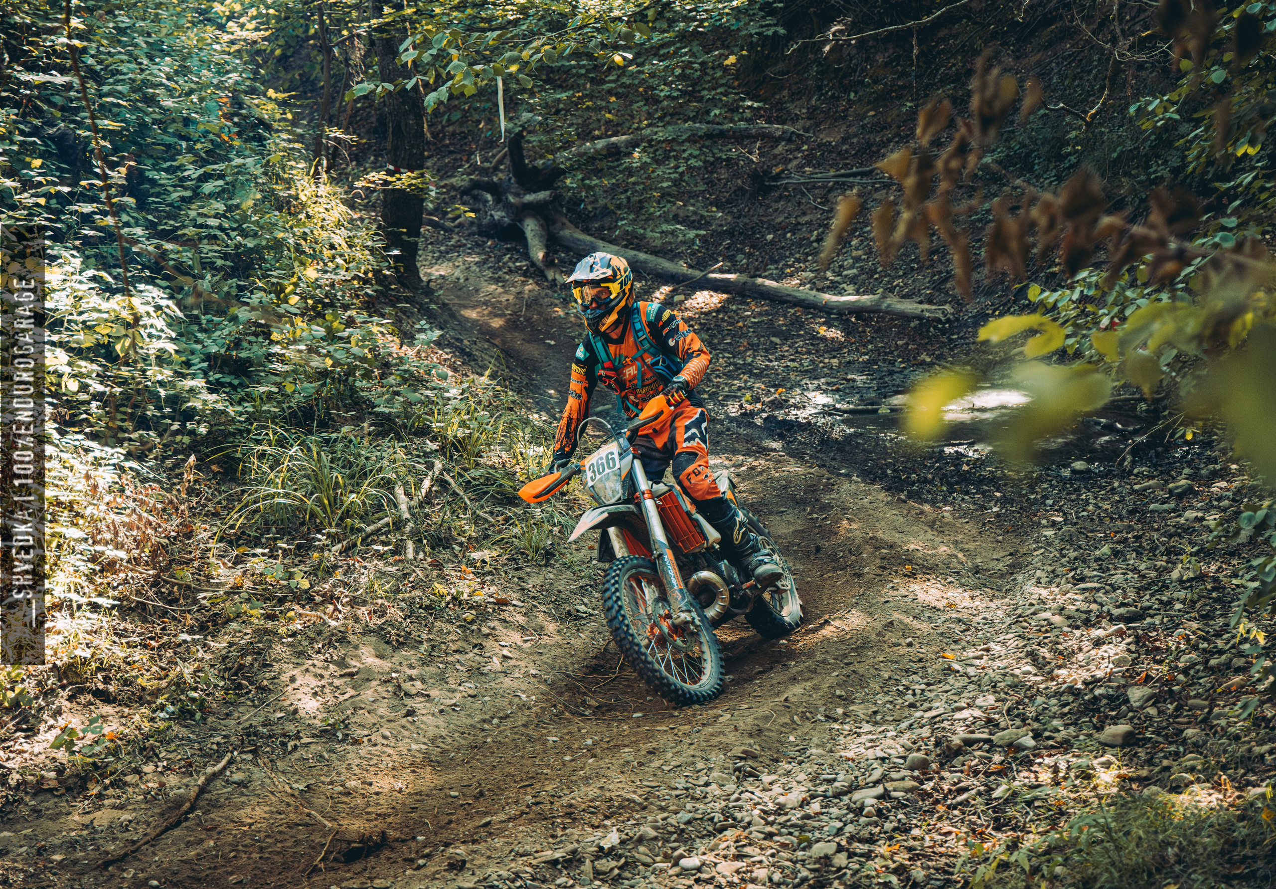 2 лесной день. Ваш экстрим фотограф Кудрева Яна