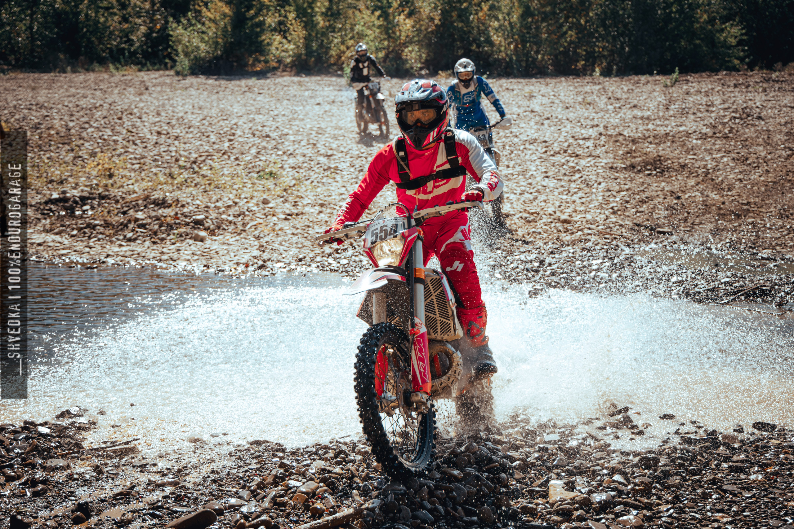 1 лесной день. Ваш экстрим фотограф Кудрева Яна