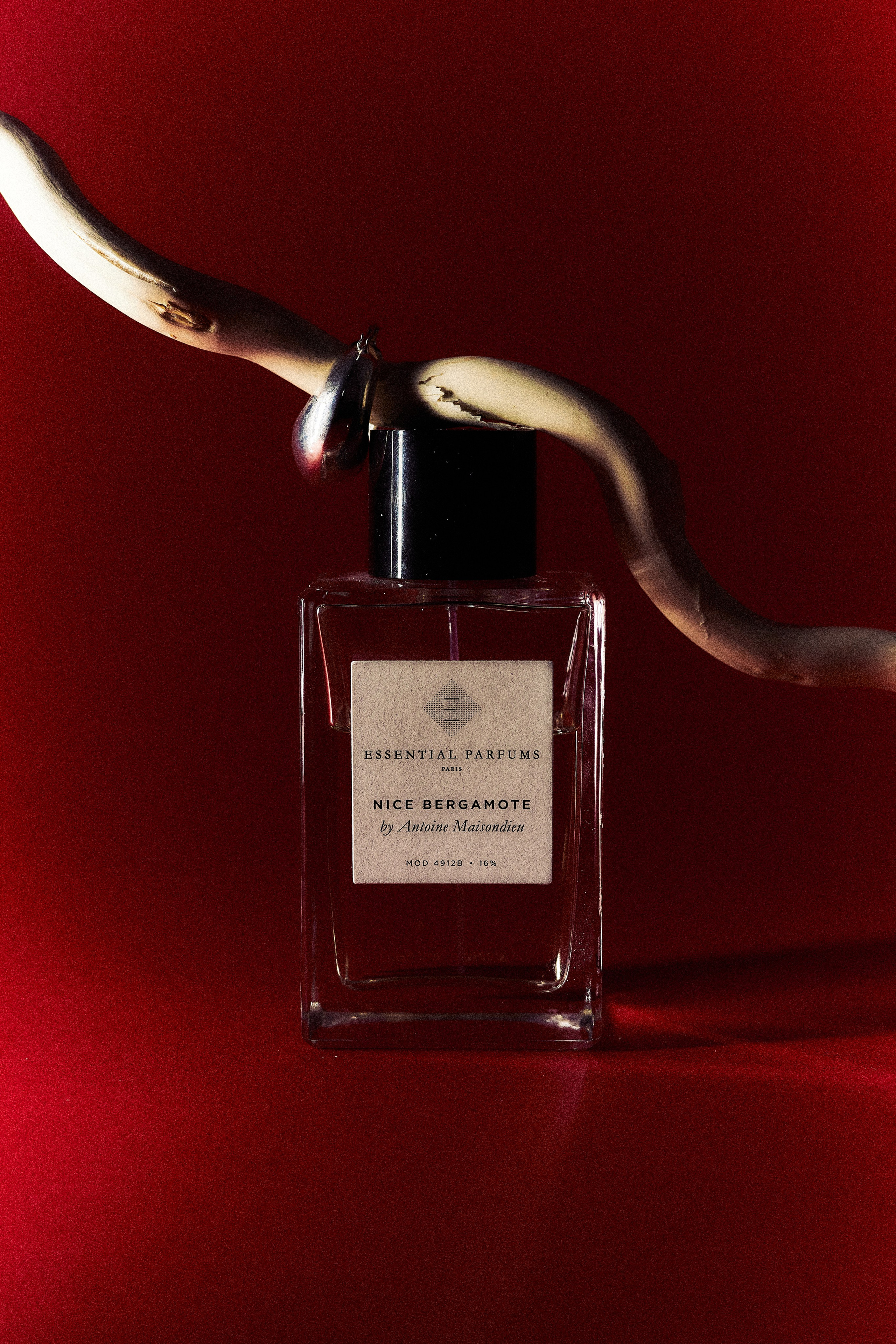 Beauty. Фотограф в Москве Струц Влада